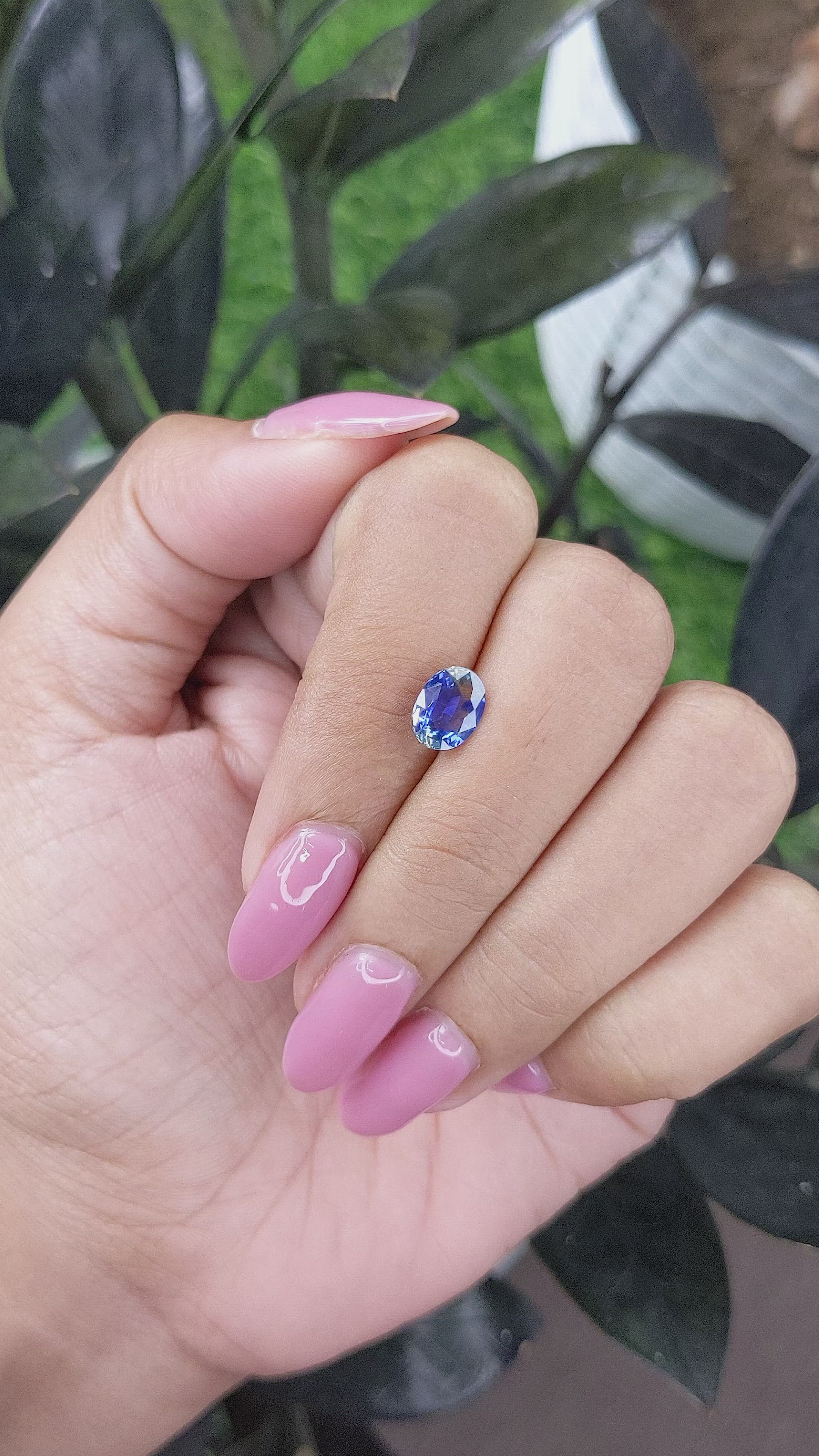 1.29 Ct. Bi Color Sapphire from Ceylon (Sri Lanka) Size Video