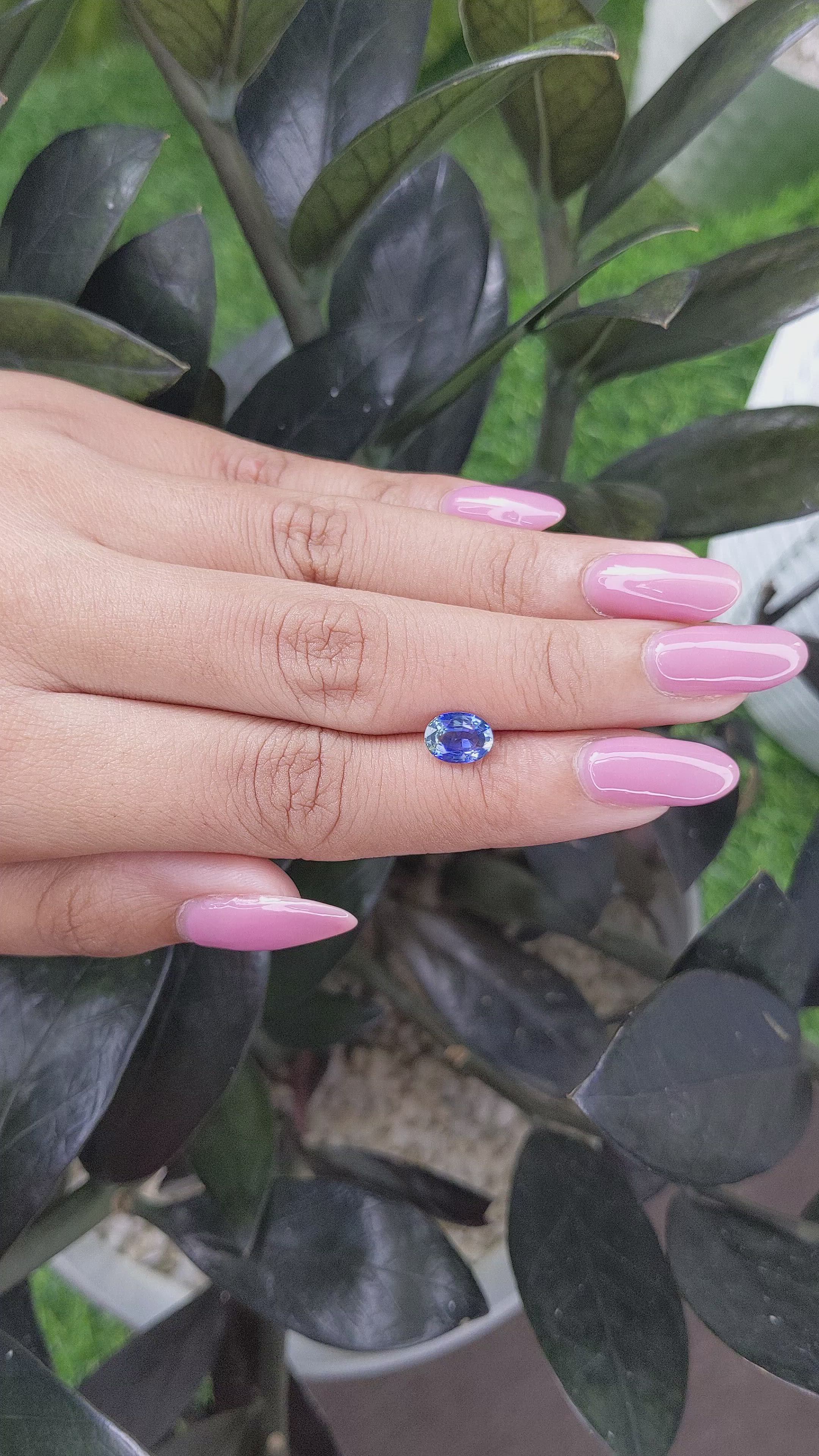 1.29 Ct. Bi Color Sapphire from Ceylon (Sri Lanka) Size Video