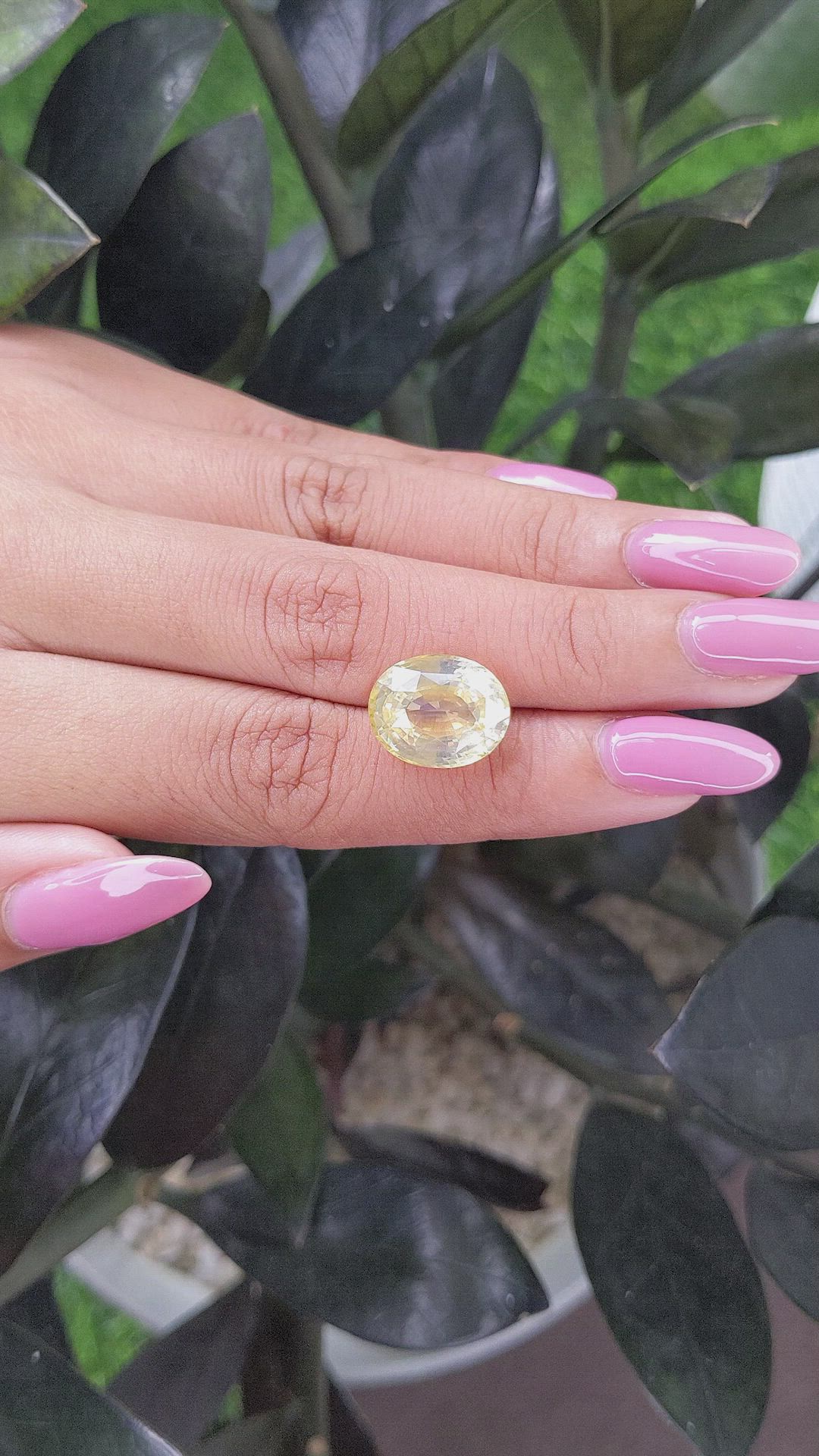 11.02 Ct. Yellow Sapphire from Ceylon (Sri Lanka) Size Video