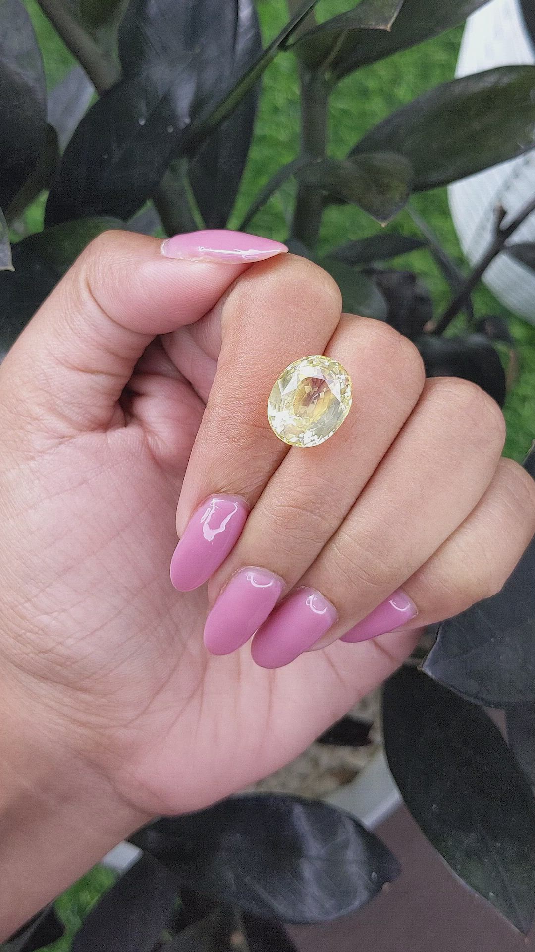 11.02 Ct. Yellow Sapphire from Ceylon (Sri Lanka) Size Video
