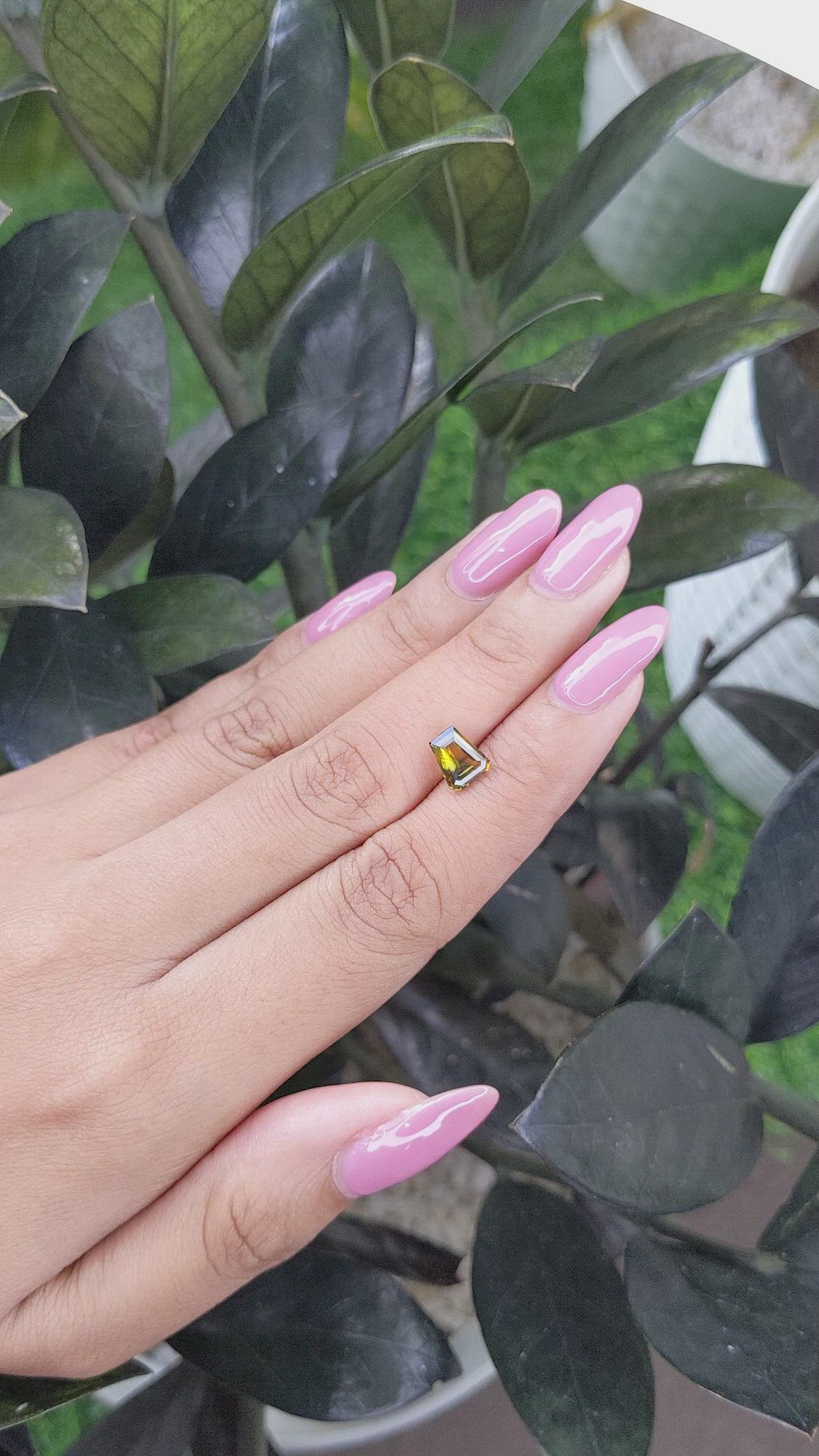 1.55 Ct. Bi Color Sapphire from Madagascar Size Video