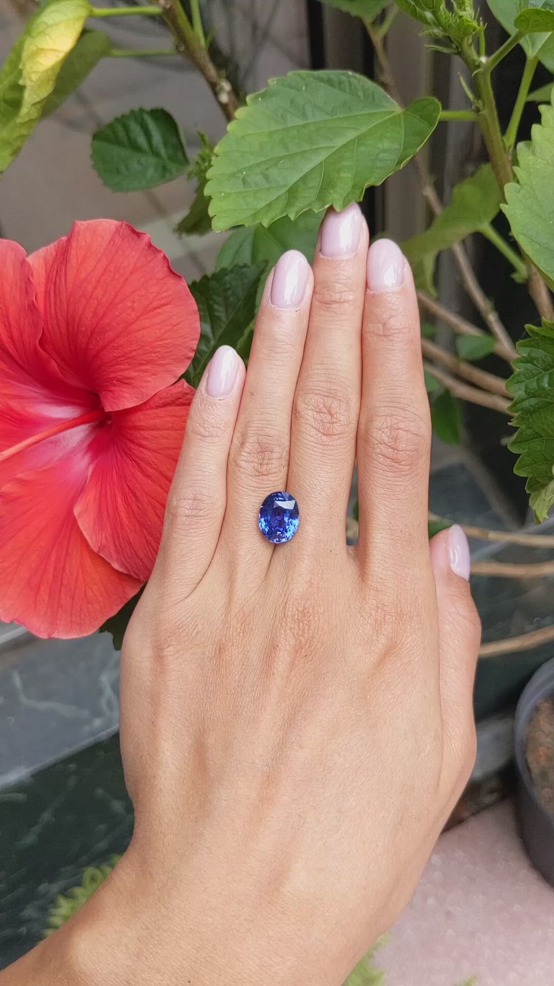 8.03 Ct. Blue Sapphire from Ceylon (Sri Lanka) Size Video