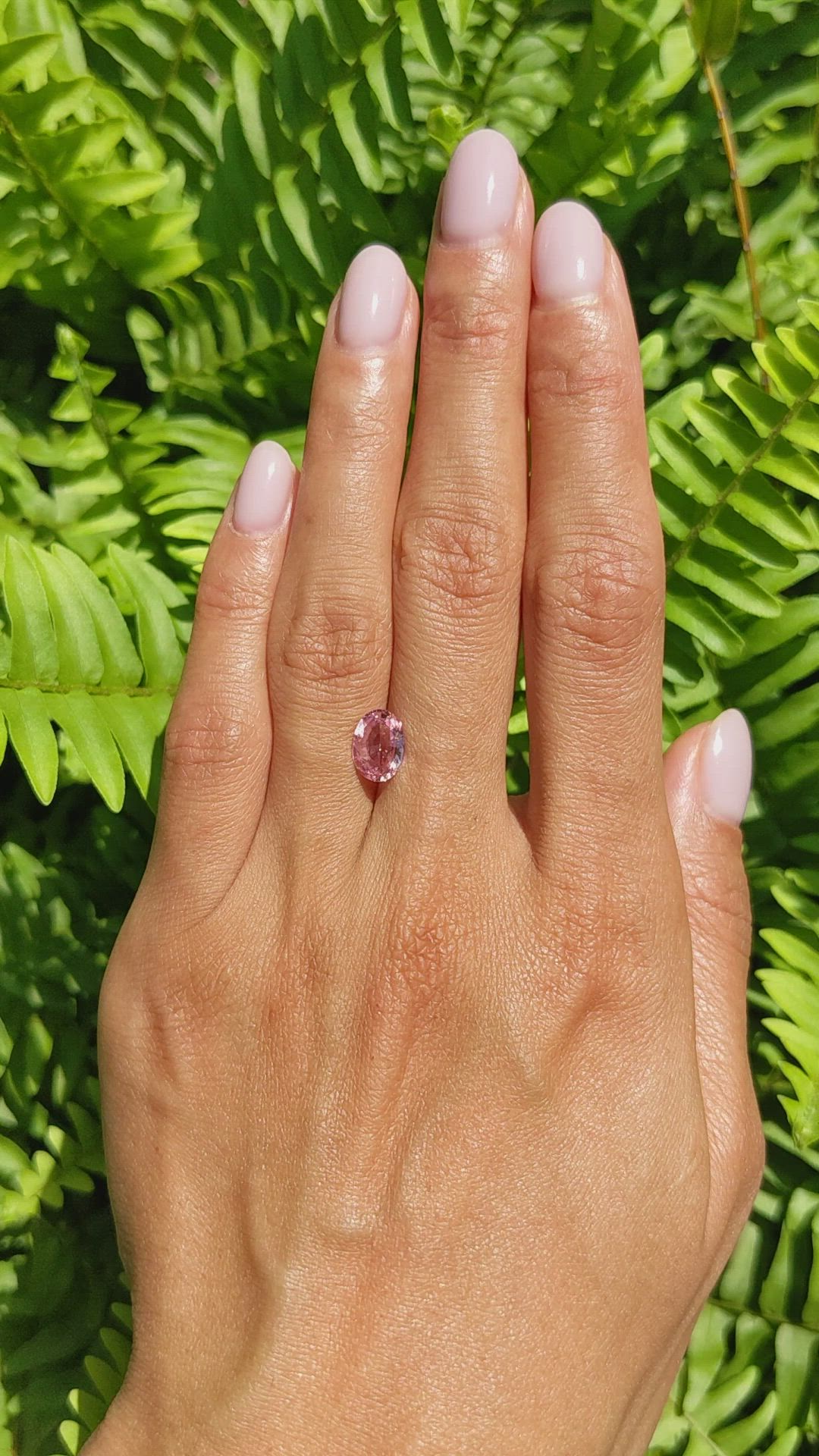 1.77 Ct. Padparadscha Sapphire from Ceylon (Sri Lanka) Size Video