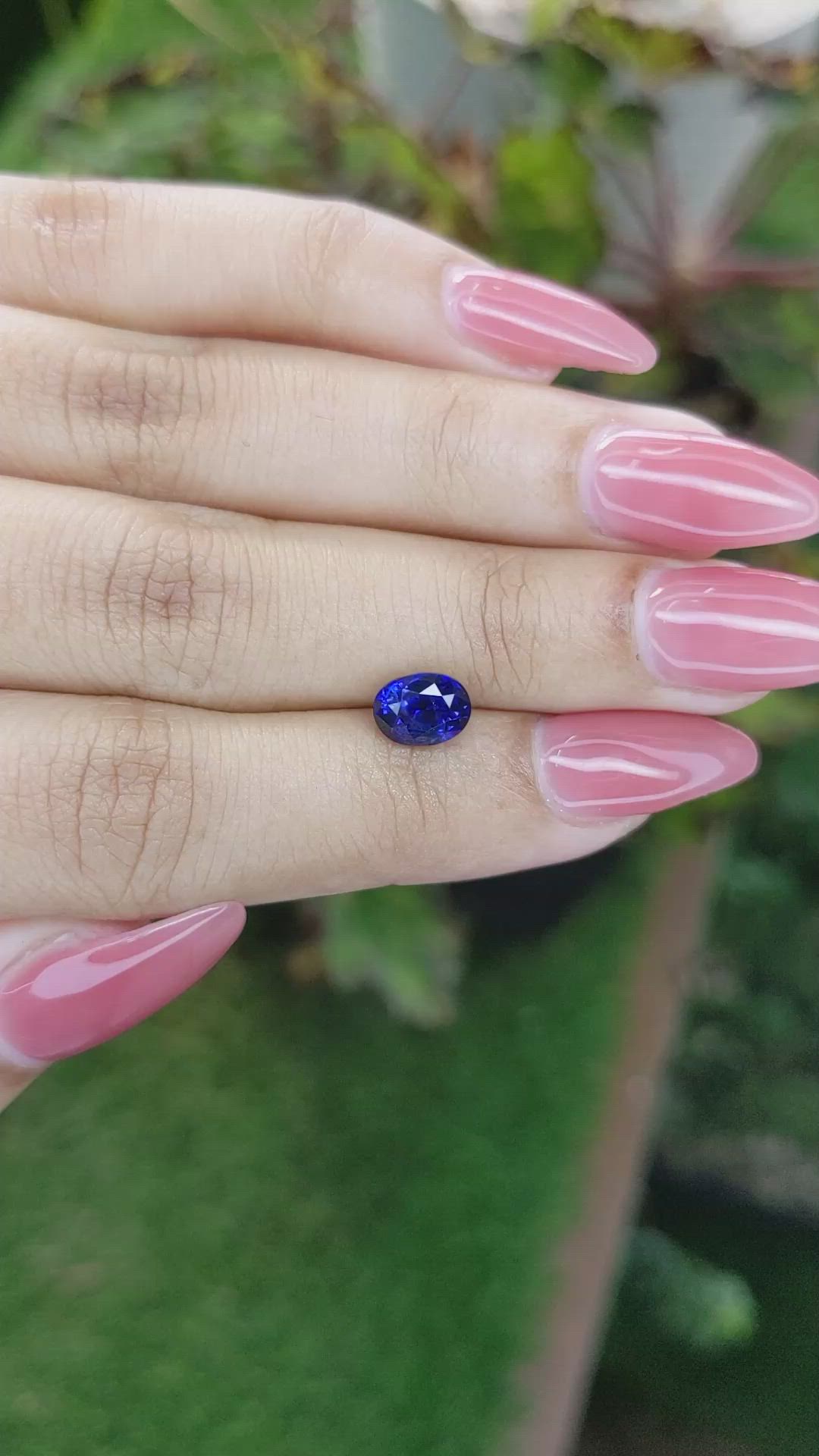 1.76 Ct. Blue Sapphire from Ceylon (Sri Lanka) Size Video