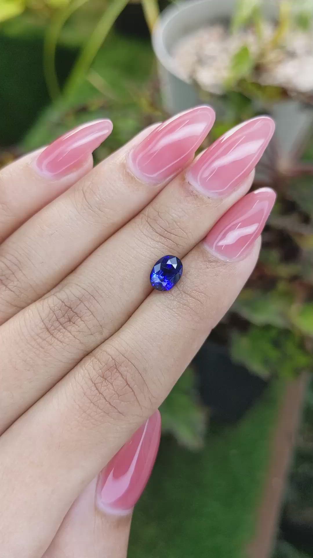 1.76 Ct. Blue Sapphire from Ceylon (Sri Lanka) Size Video