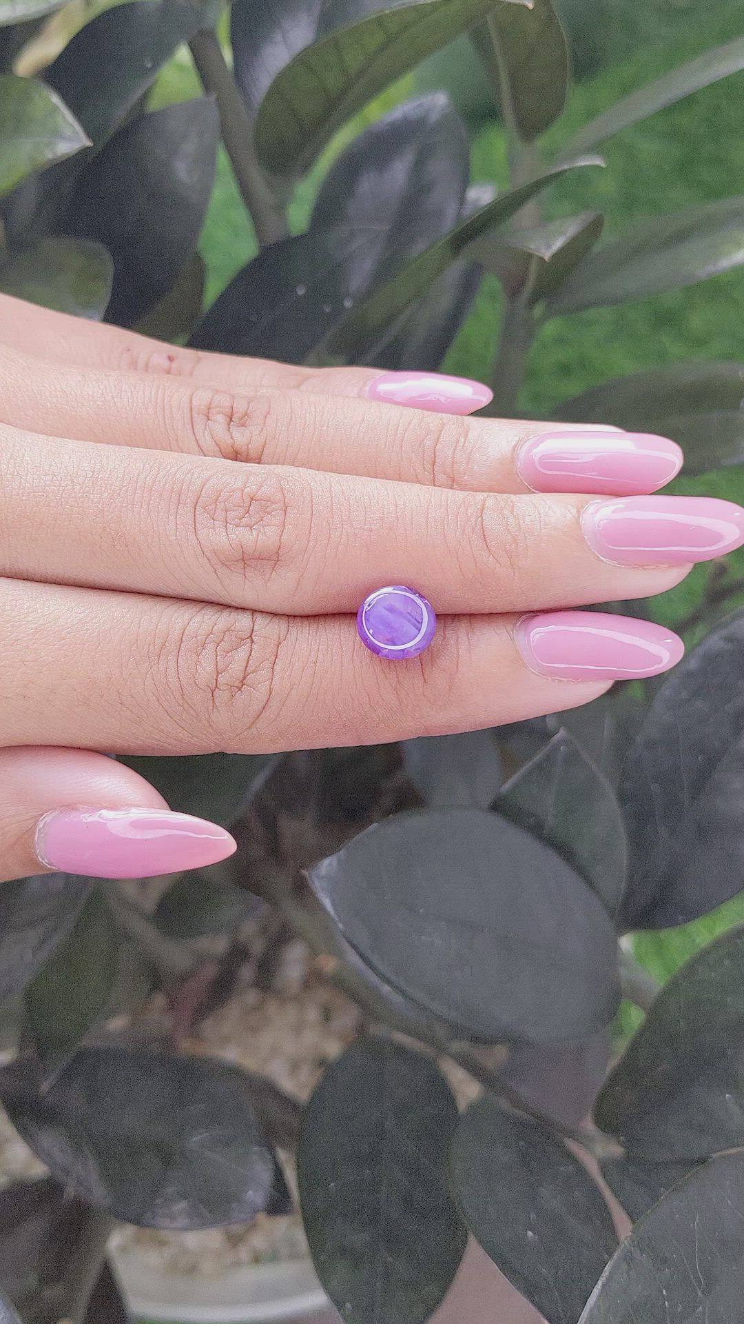 3.26 Ct. Purple Star Sapphire from Ceylon (Sri Lanka) Size Video