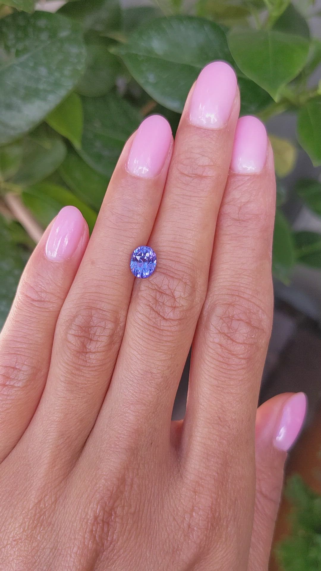 1.64 Ct. Violet Sapphire from Ceylon (Sri Lanka) Size Video