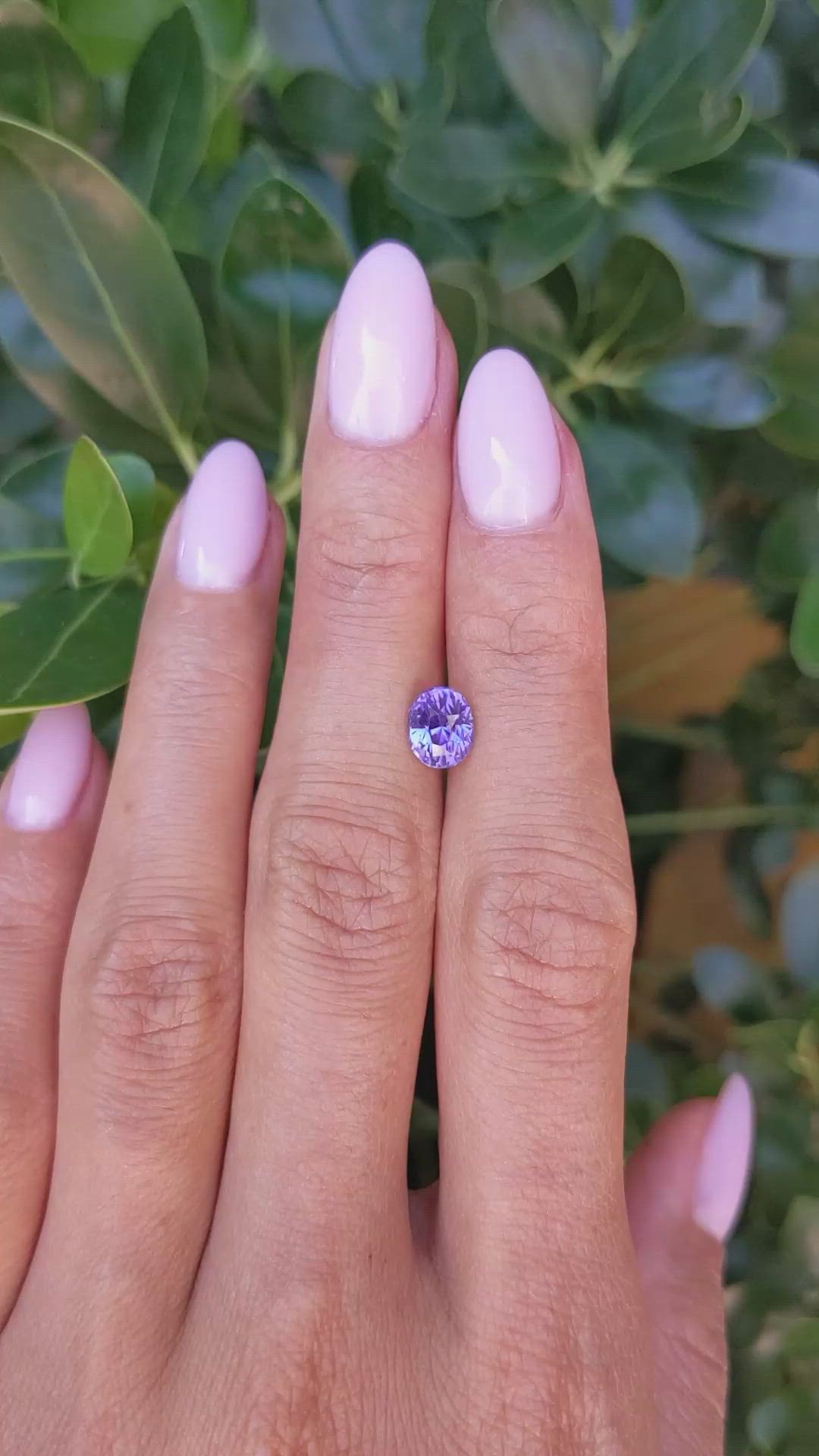 1.64 Ct. Violet Sapphire from Ceylon (Sri Lanka) Size Video