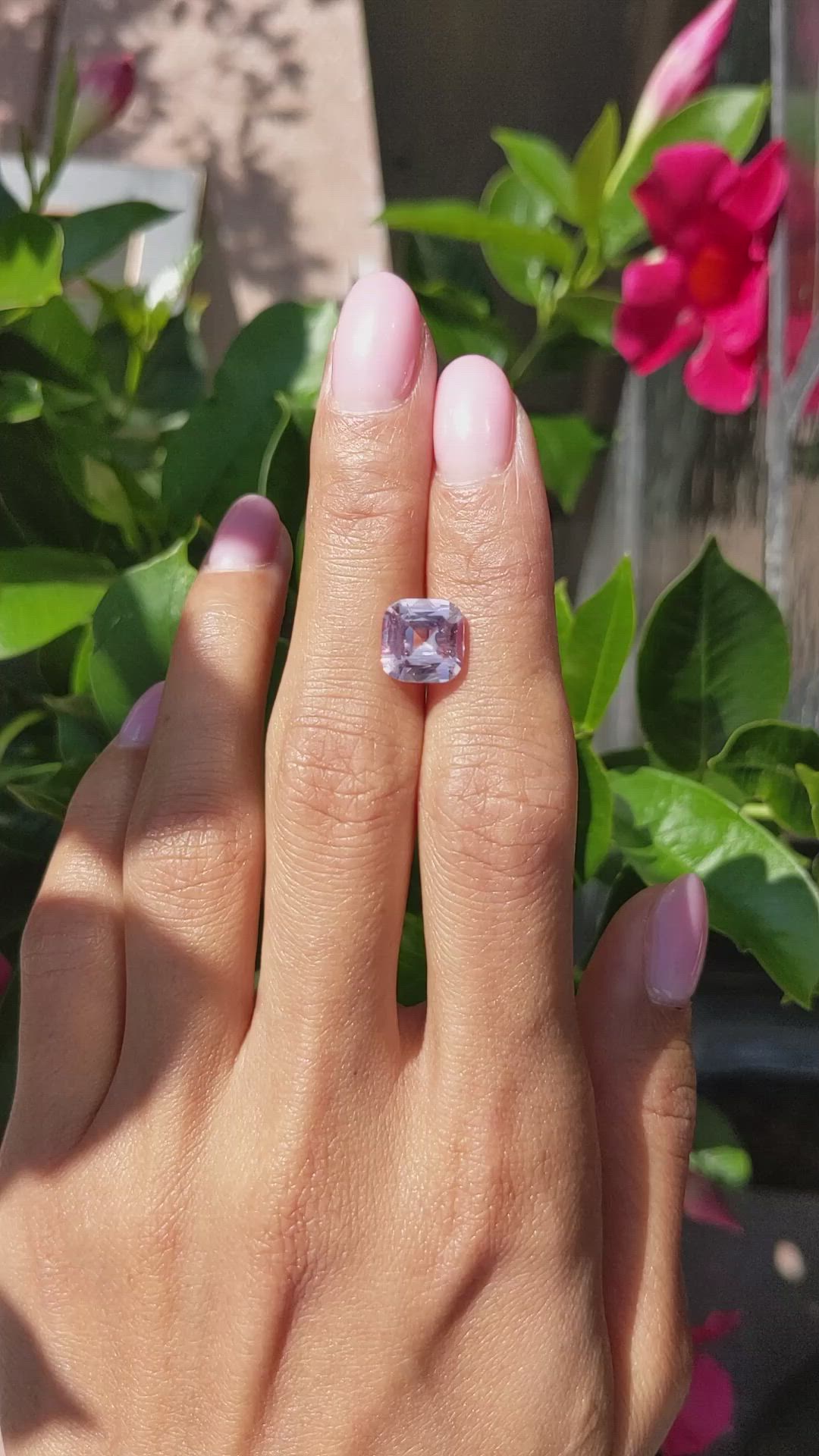 3.53 Ct. Pink Sapphire from Ceylon (Sri Lanka) Size Video