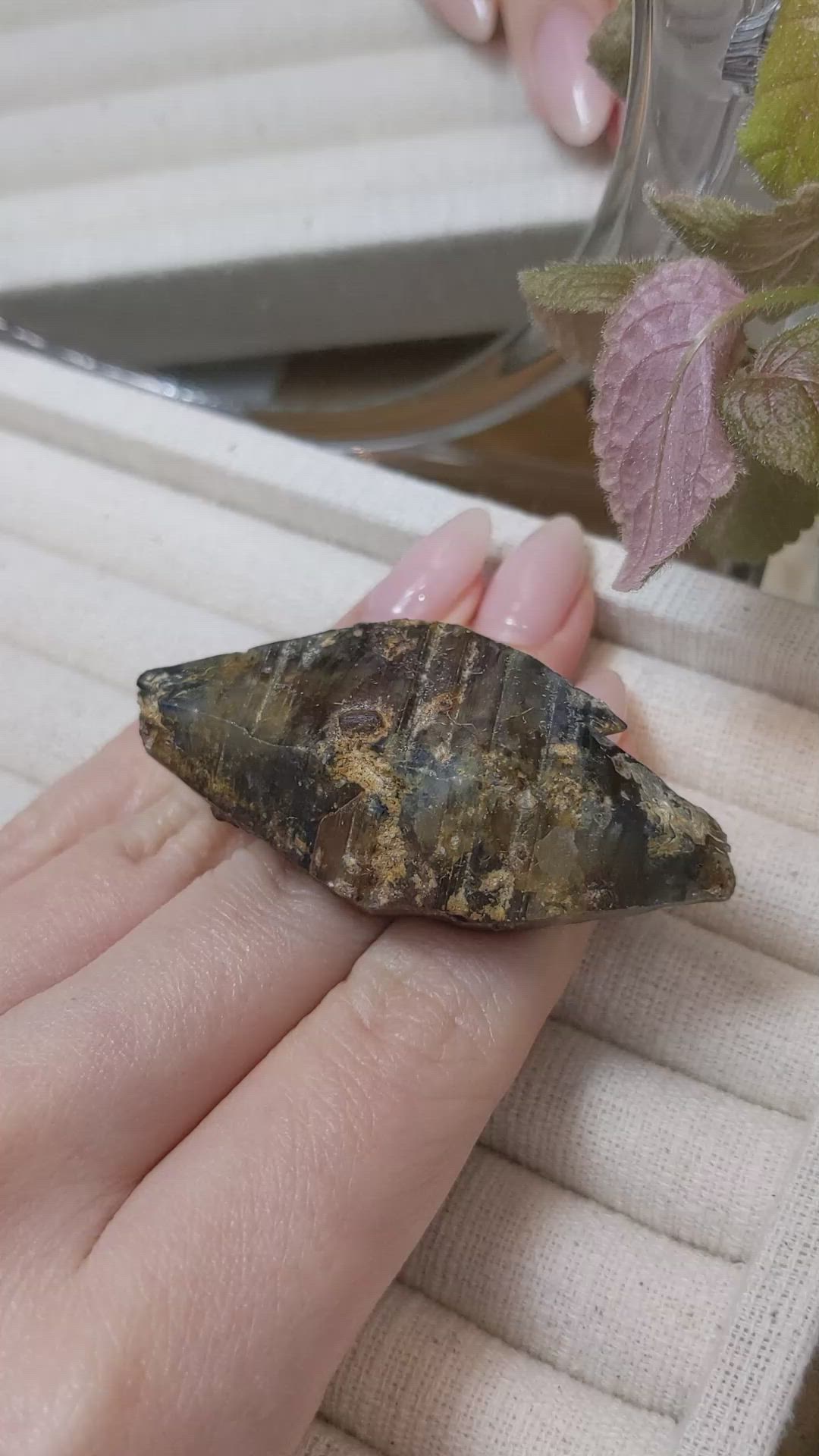 244.36 Ct. Black Rough Sapphire Crystal from Ceylon (Sri Lanka) Size Video