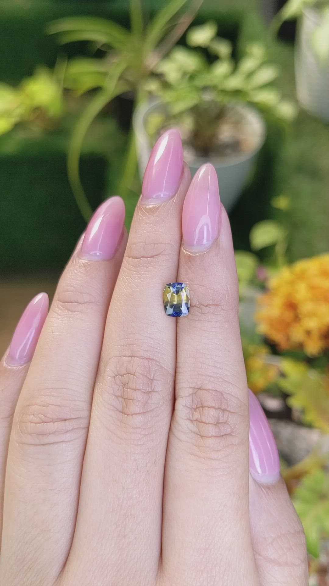 1.56 Ct. Bi Color / Parti Sapphire from Ceylon (Sri Lanka) Size Video