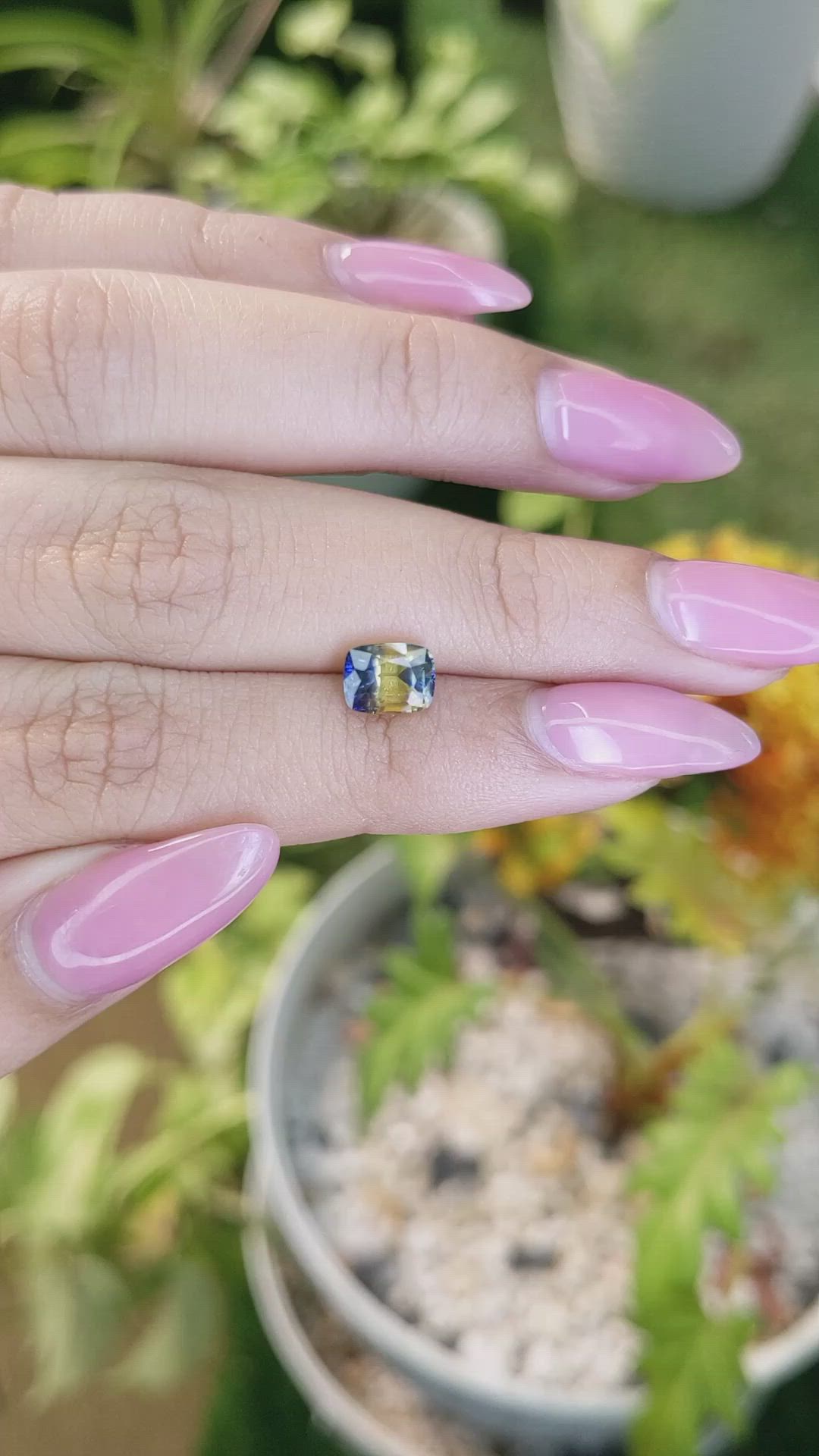1.56 Ct. Bi Color / Parti Sapphire from Ceylon (Sri Lanka) Size Video