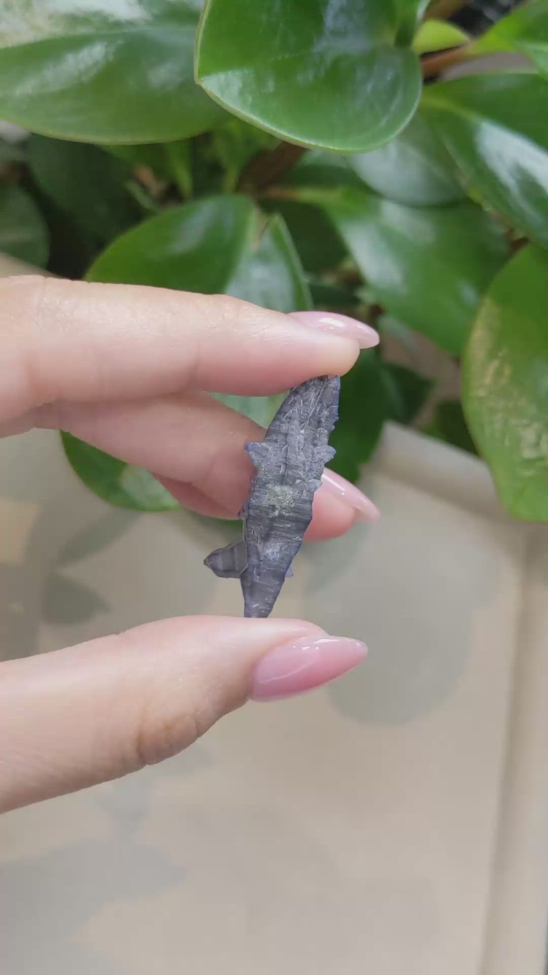 38.09 Ct. Blue Sapphire Crystal from Ceylon (Sri Lanka) Size Video