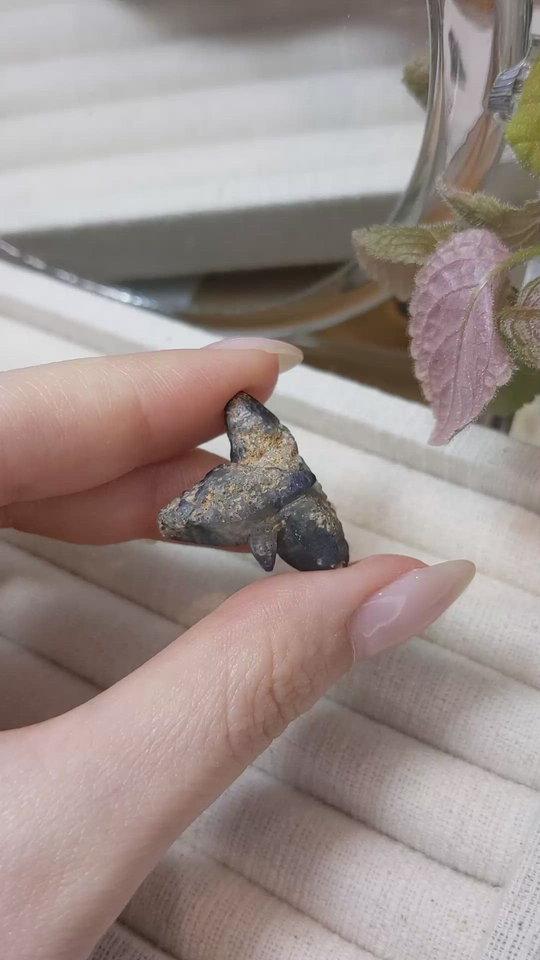 39.74 Ct. Blue Rough Sapphire Crystal from Ceylon (Sri Lanka) Size Video