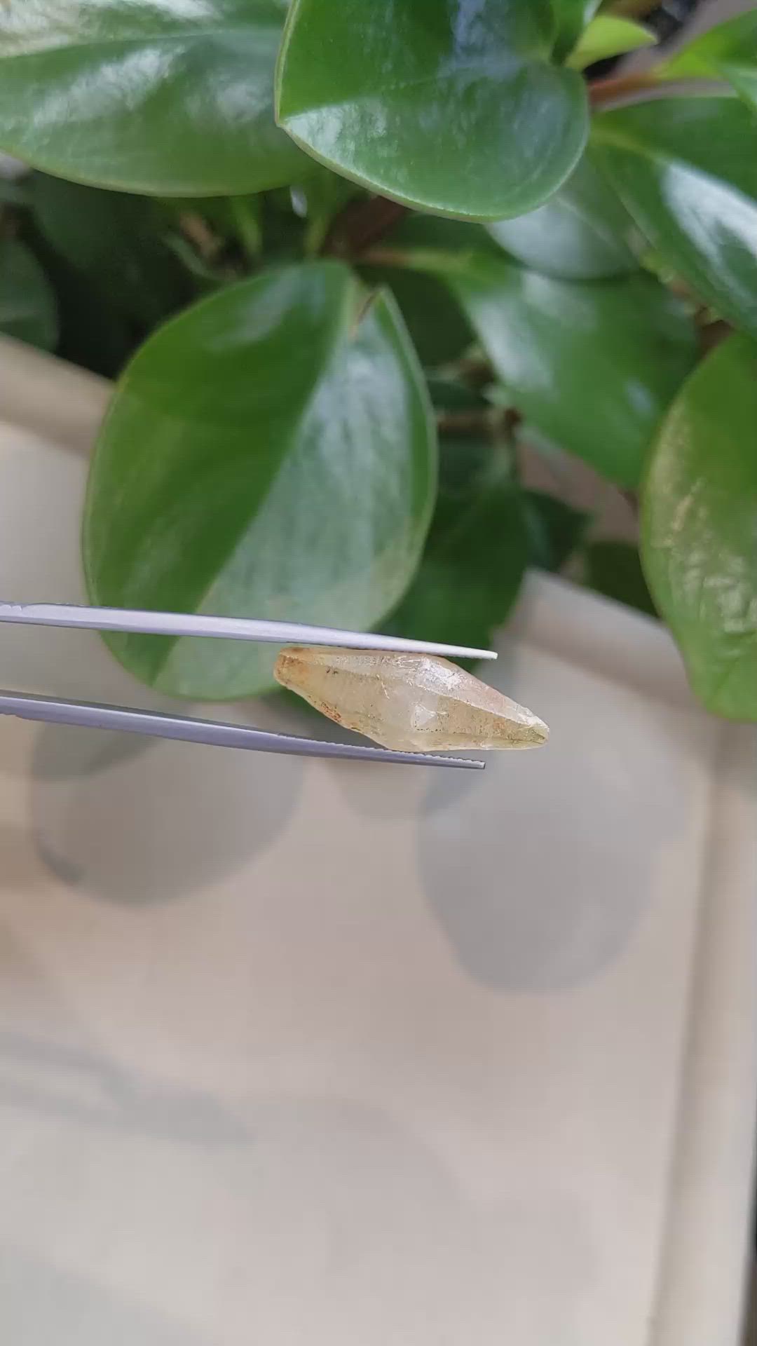 16.64 Ct. Yellow Sapphire Crystal from Ceylon (Sri Lanka) Size Video