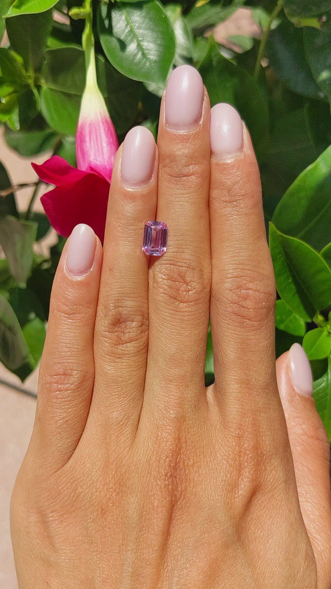 2.11 Ct. Pink Sapphire from Ceylon (Sri Lanka) Size Video