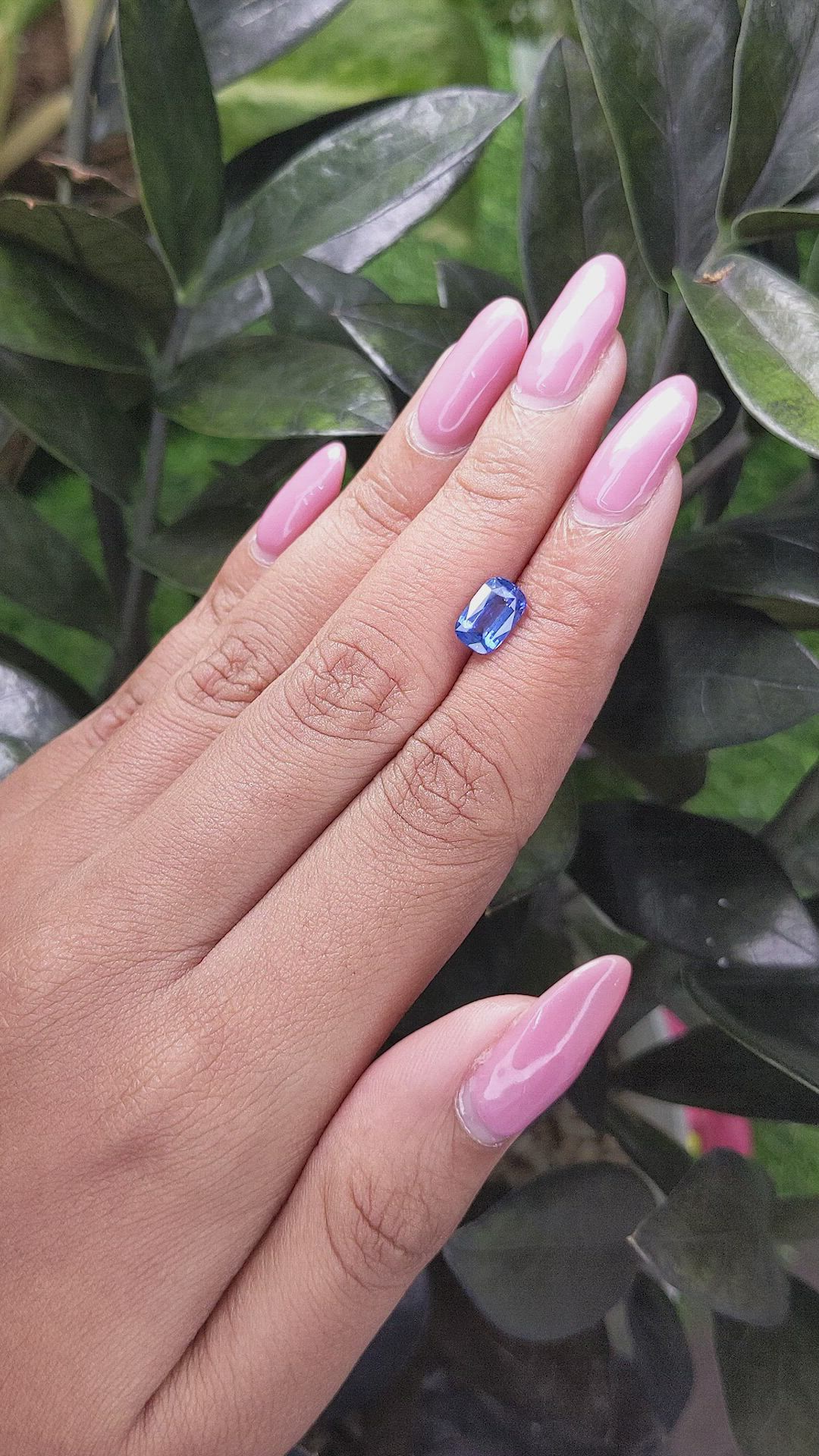 1.61 Ct. Blue Sapphire from Ceylon (Sri Lanka) Size Video
