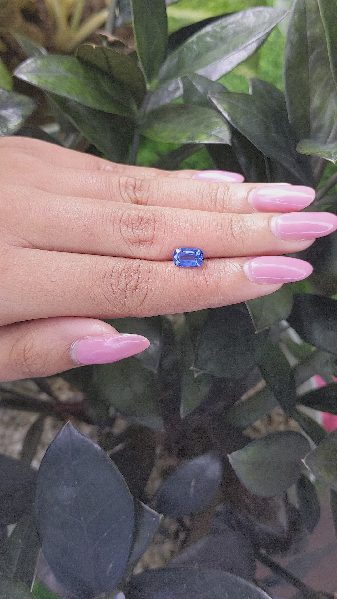 1.61 Ct. Blue Sapphire from Ceylon (Sri Lanka) Size Video