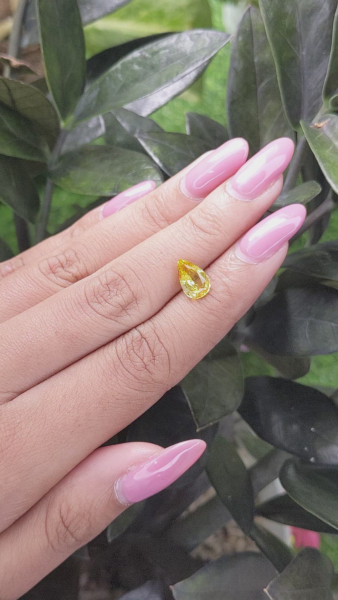 1.96 Ct. Yellow Sapphire from Ceylon (Sri Lanka) Size Video