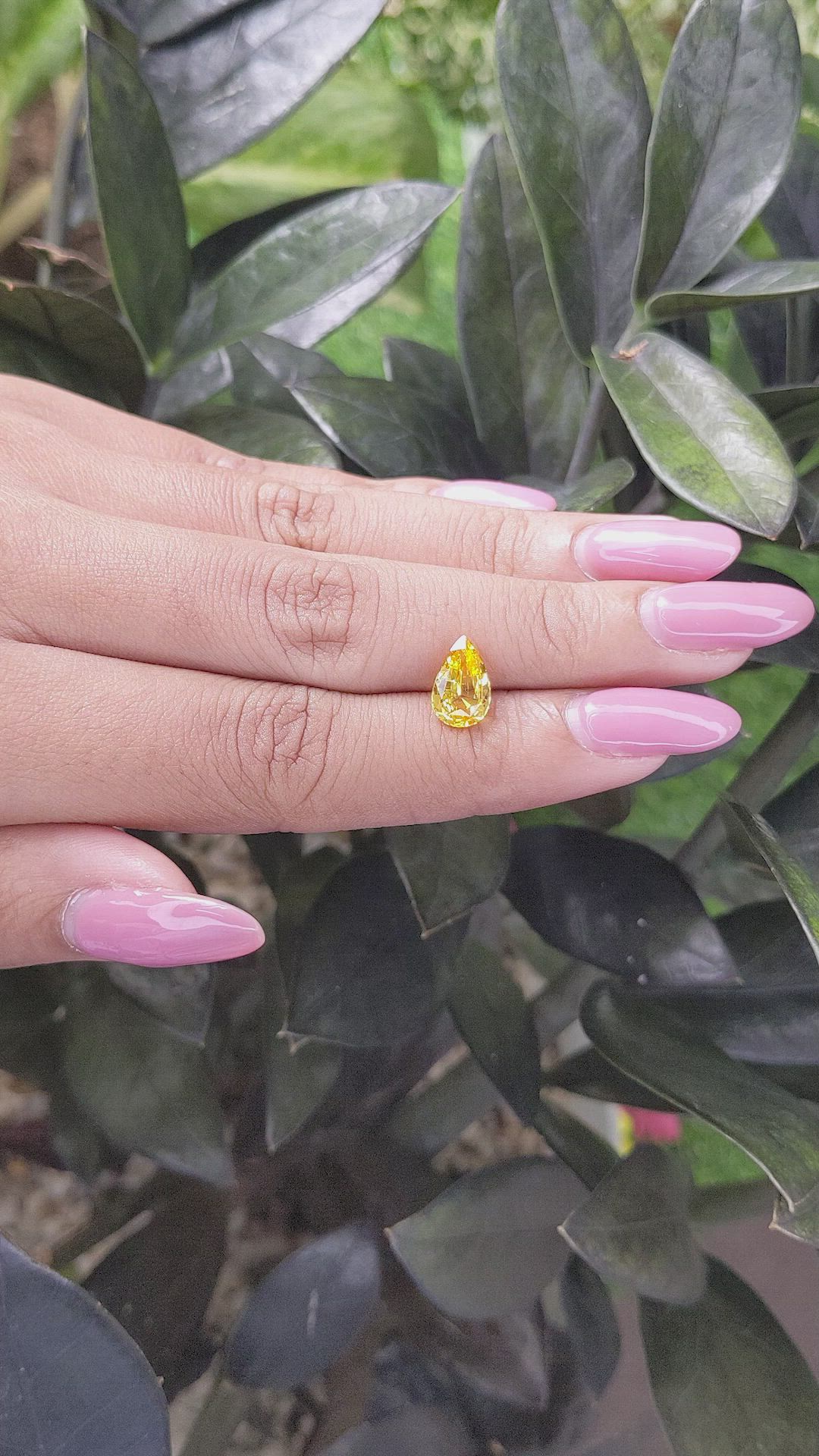 1.96 Ct. Yellow Sapphire from Ceylon (Sri Lanka) Size Video