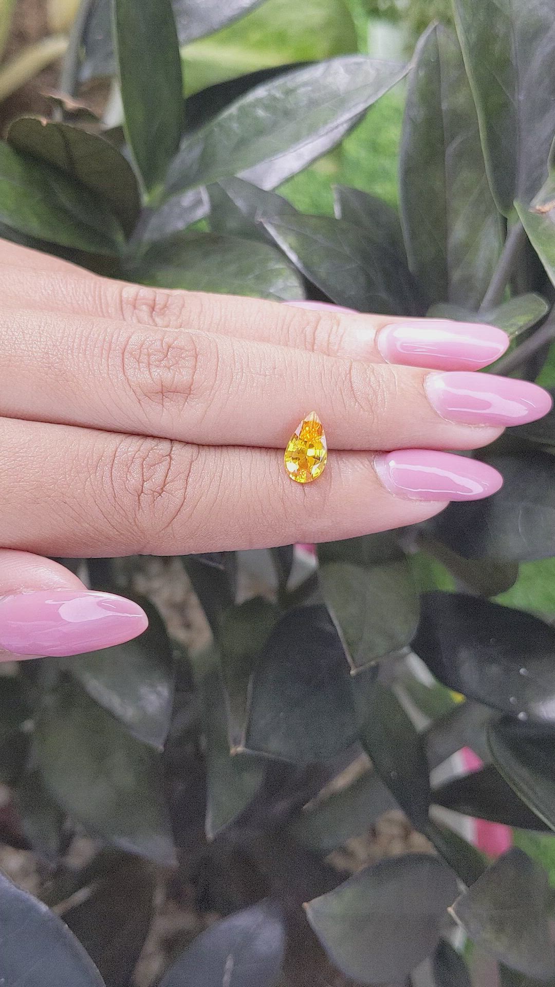 1.66 Ct. Orangish Yellow Sapphire from Ceylon (Sri Lanka) Size Video