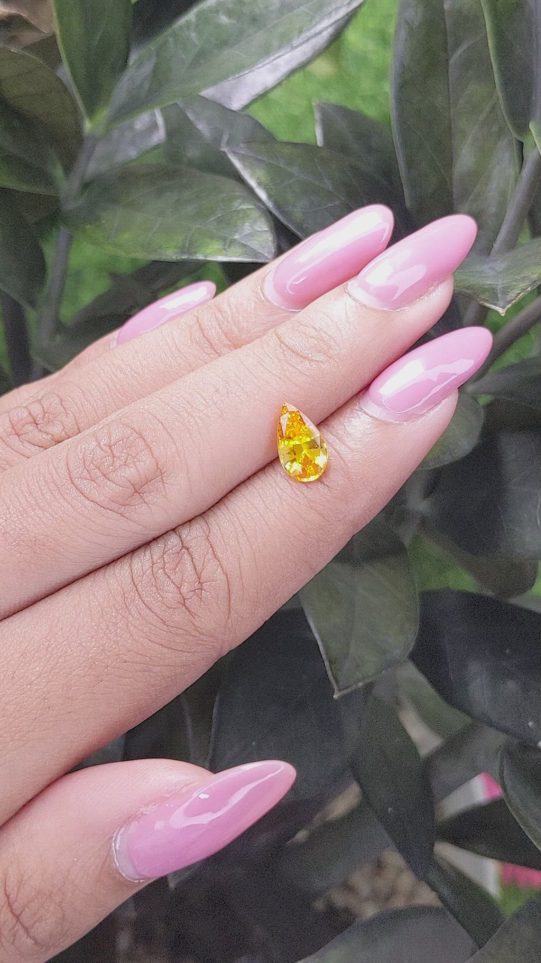 1.66 Ct. Orangish Yellow Sapphire from Ceylon (Sri Lanka) Size Video