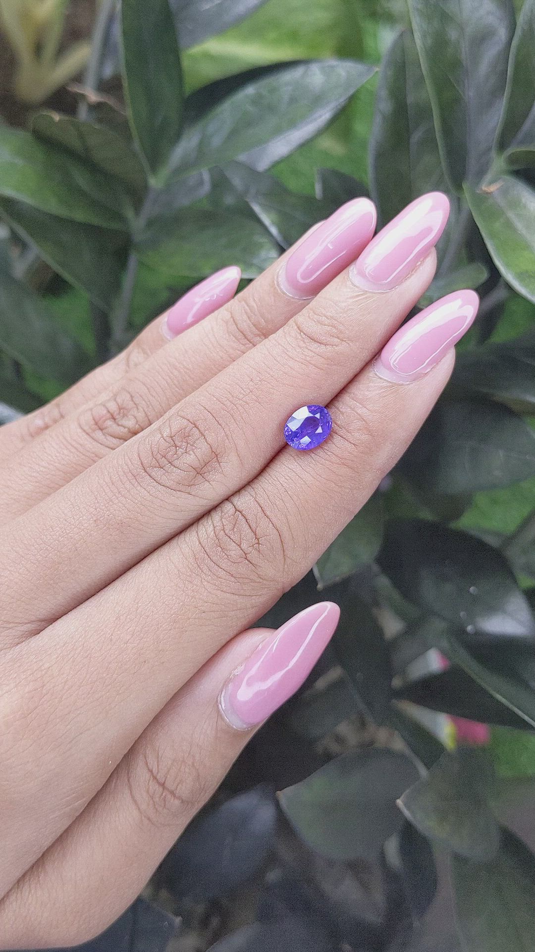 1.53 Ct. Violet Sapphire from Ceylon (Sri Lanka) Size Video