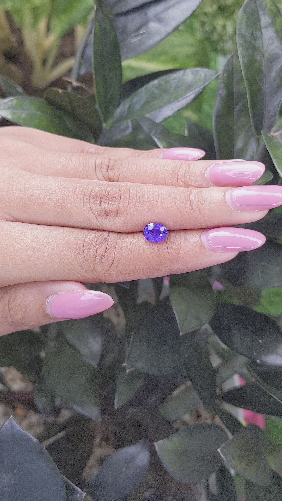 1.53 Ct. Violet Sapphire from Ceylon (Sri Lanka) Size Video