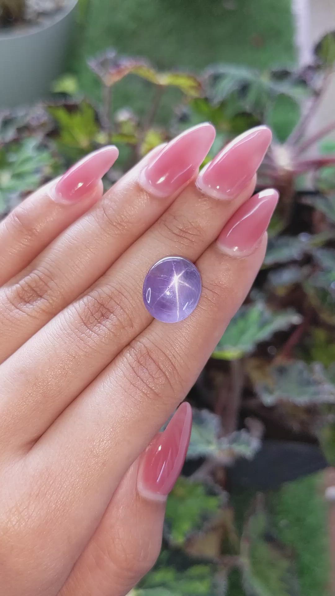 14.54 Ct. Purple Star Sapphire from Ceylon (Sri Lanka) Size Video