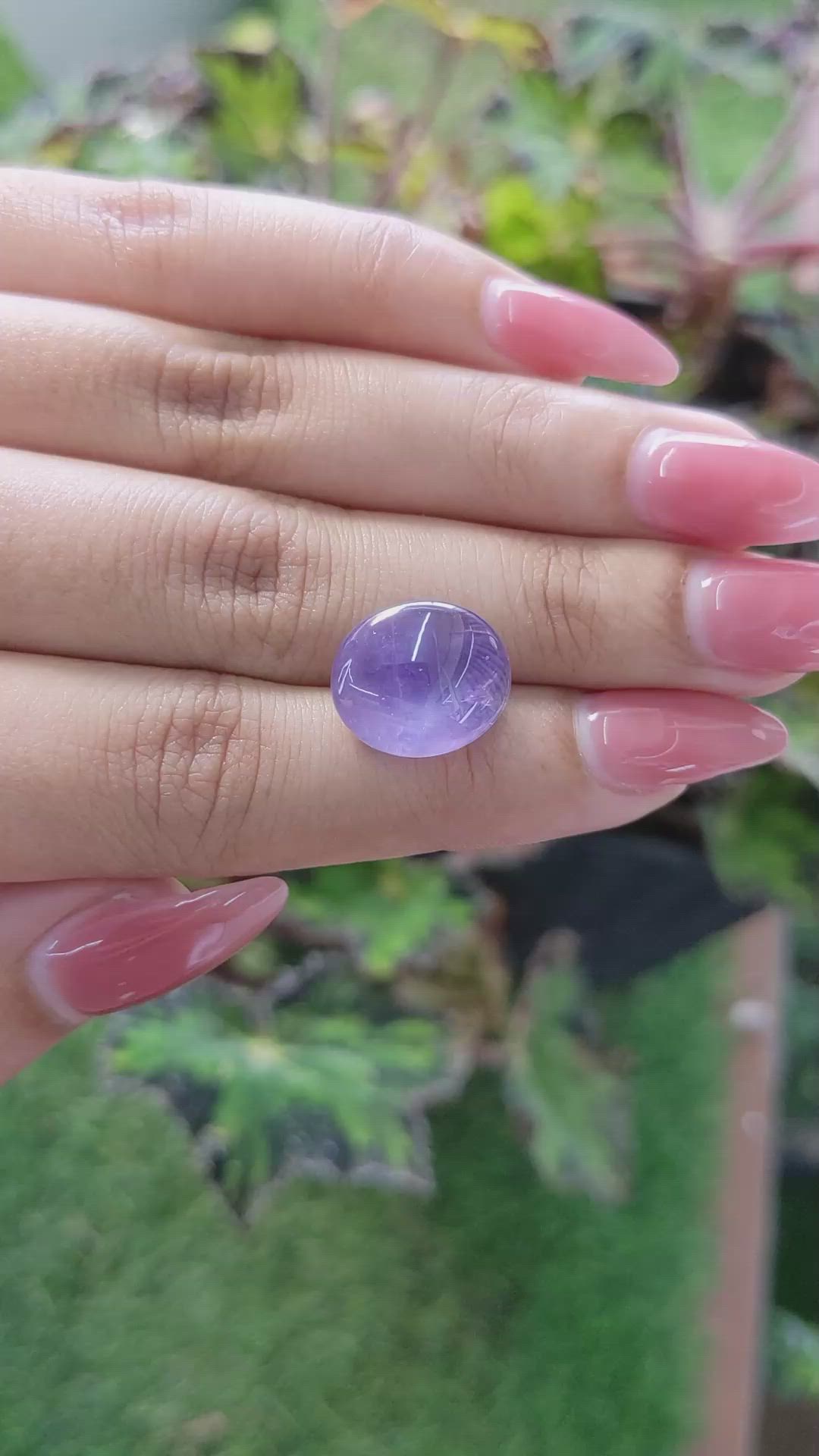 14.54 Ct. Purple Star Sapphire from Ceylon (Sri Lanka) Size Video