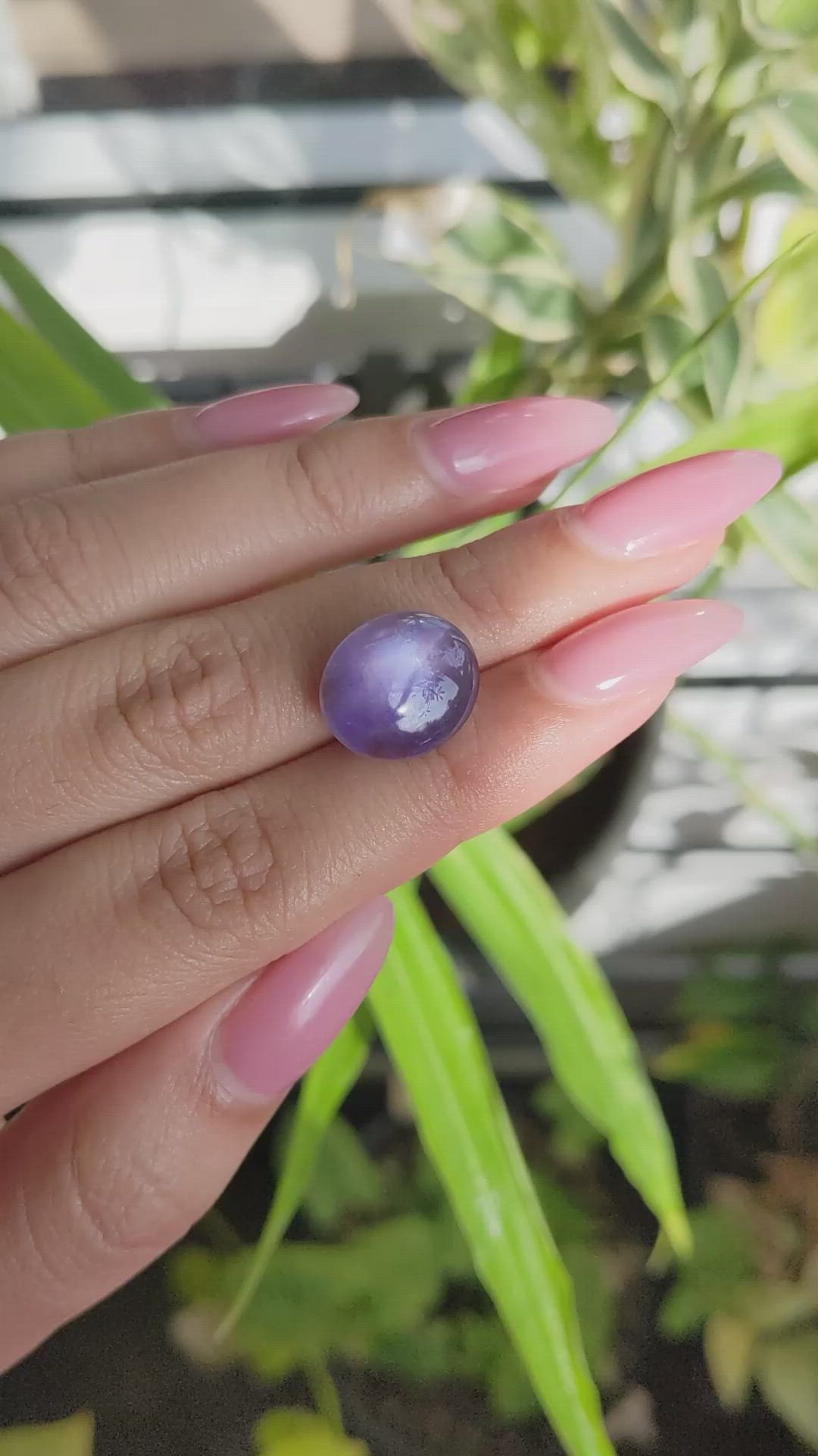 14.54 Ct. Purple Star Sapphire from Ceylon (Sri Lanka) Size Video