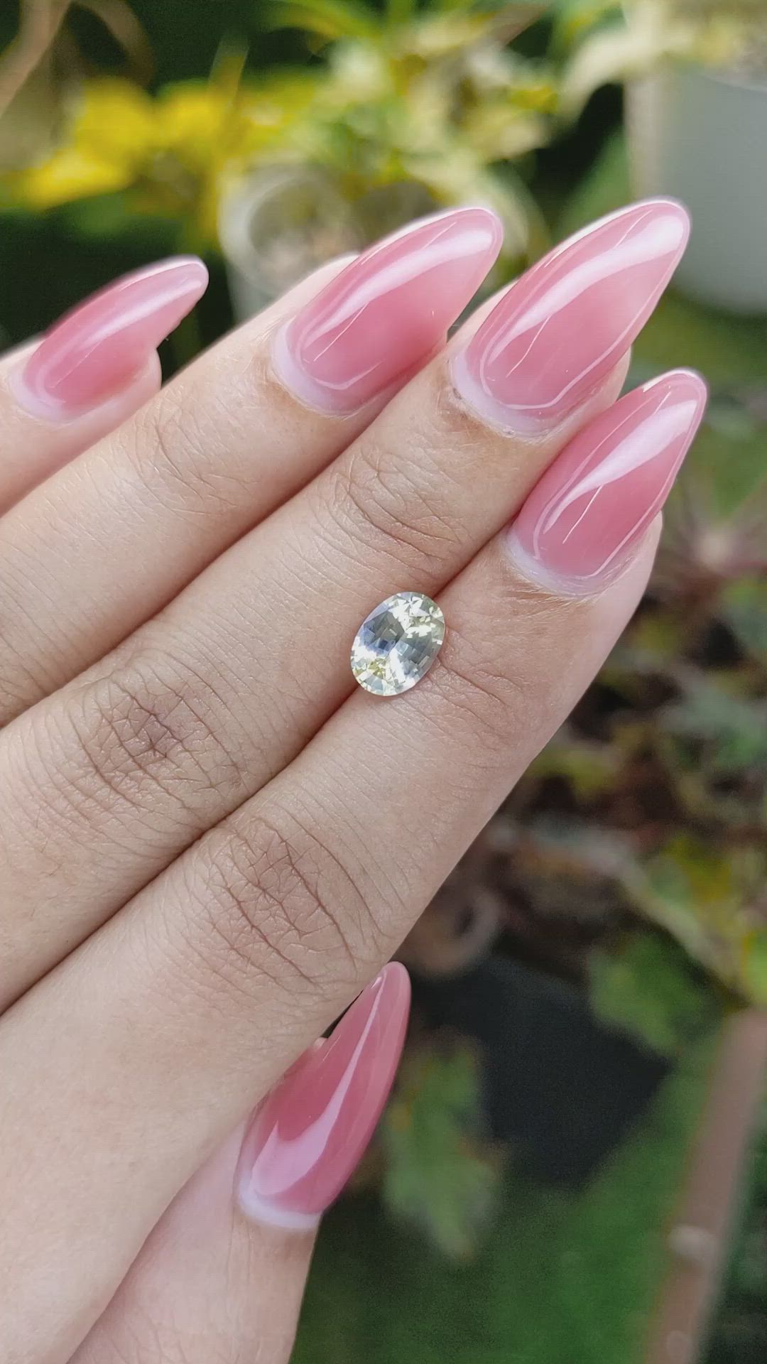 1.50 Ct. Bi Color Sapphire from Ceylon (Sri Lanka) Size Video