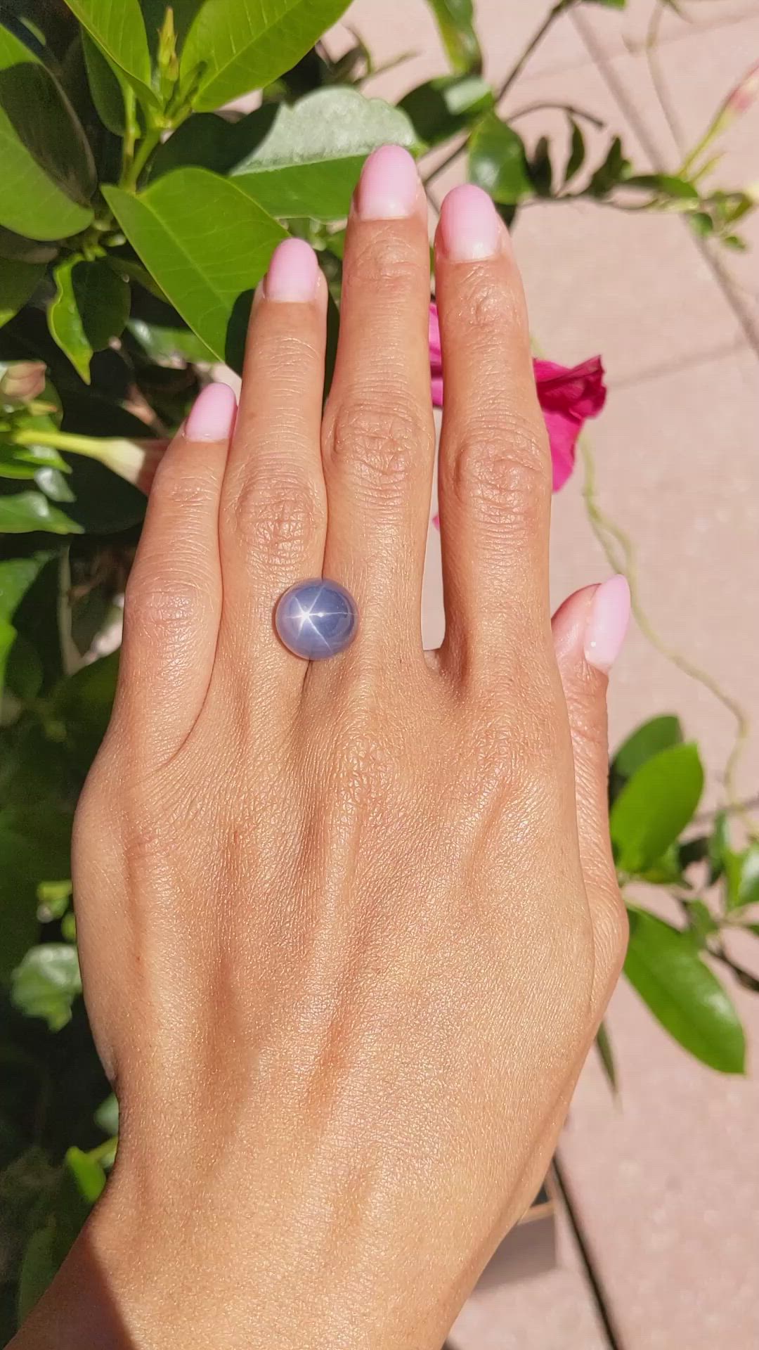 15.64 Ct. Blue Star Sapphire from Ceylon (Sri Lanka) Size Video