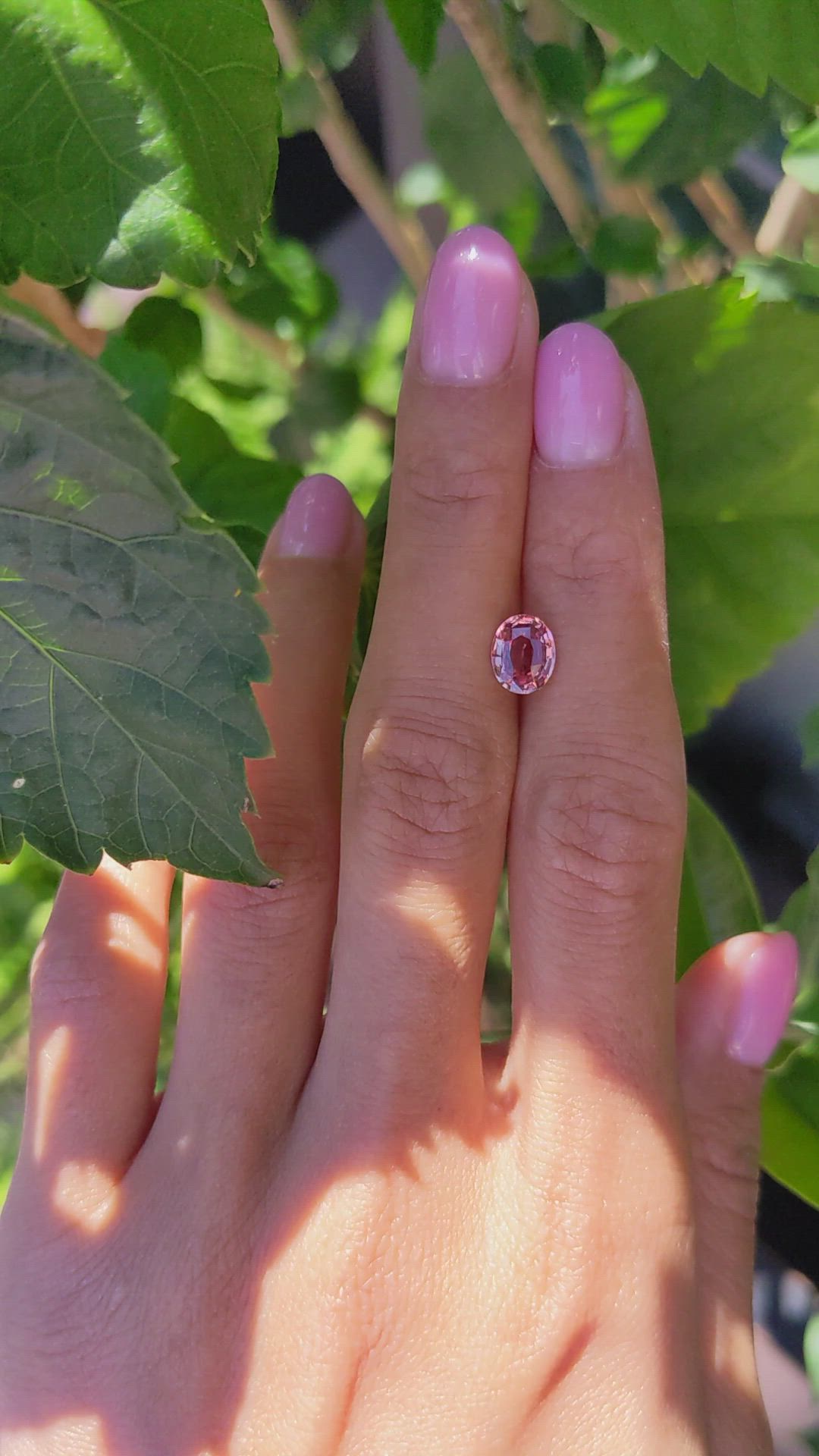 1.46 Ct. Padparadscha Sapphire from Ceylon (Sri Lanka) Size Video