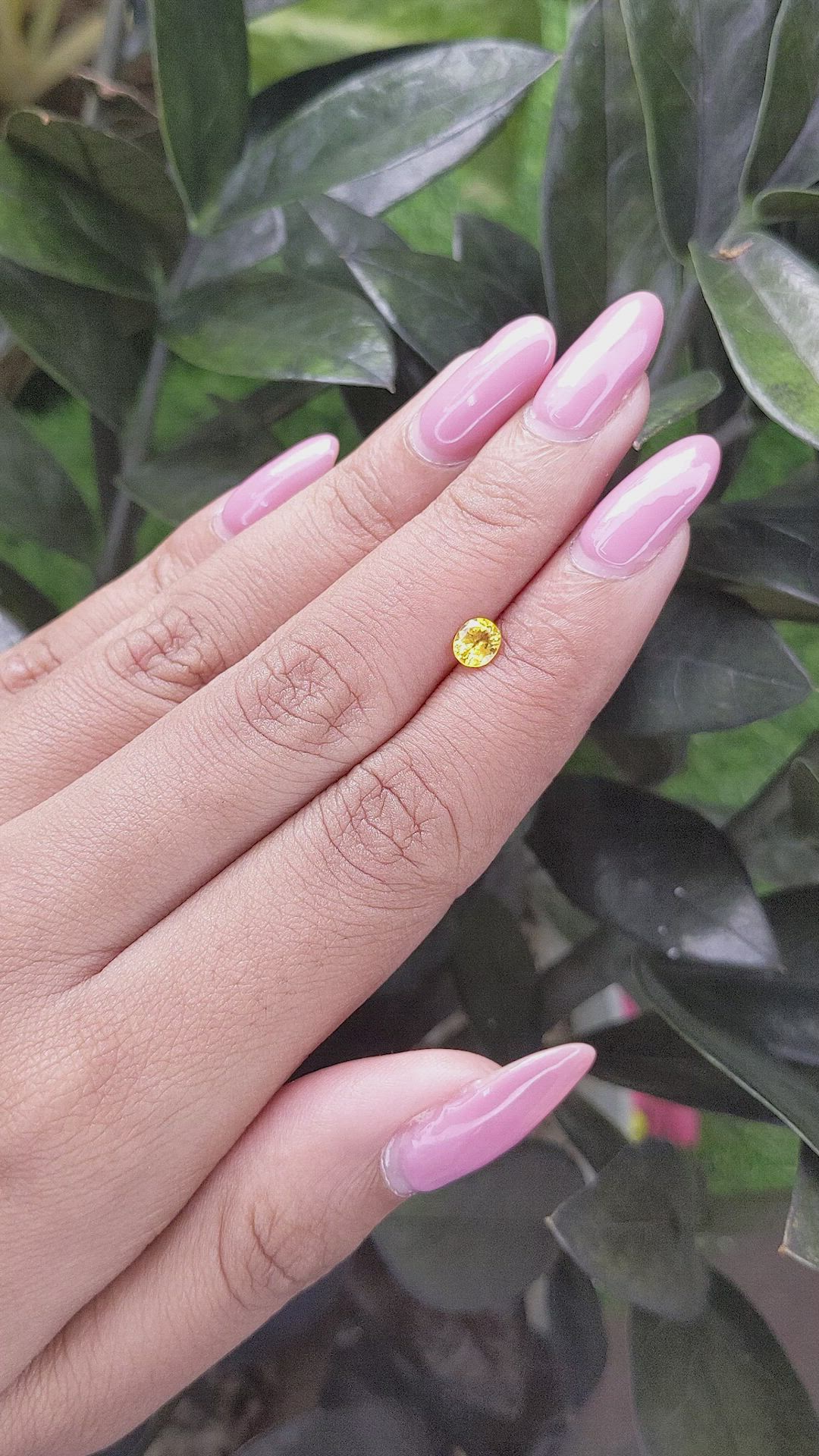 0.45 Ct. Yellow Sapphire from Ceylon (Sri Lanka) Size Video