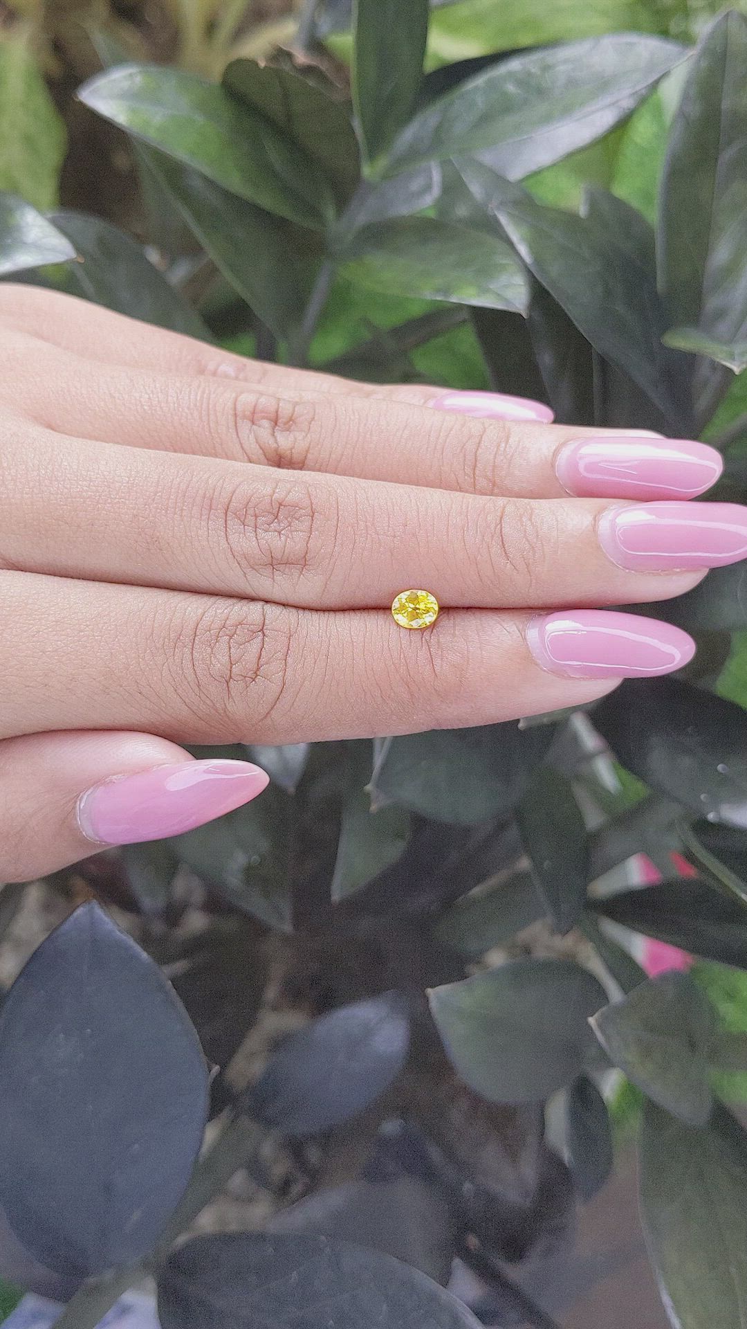 0.45 Ct. Yellow Sapphire from Ceylon (Sri Lanka) Size Video