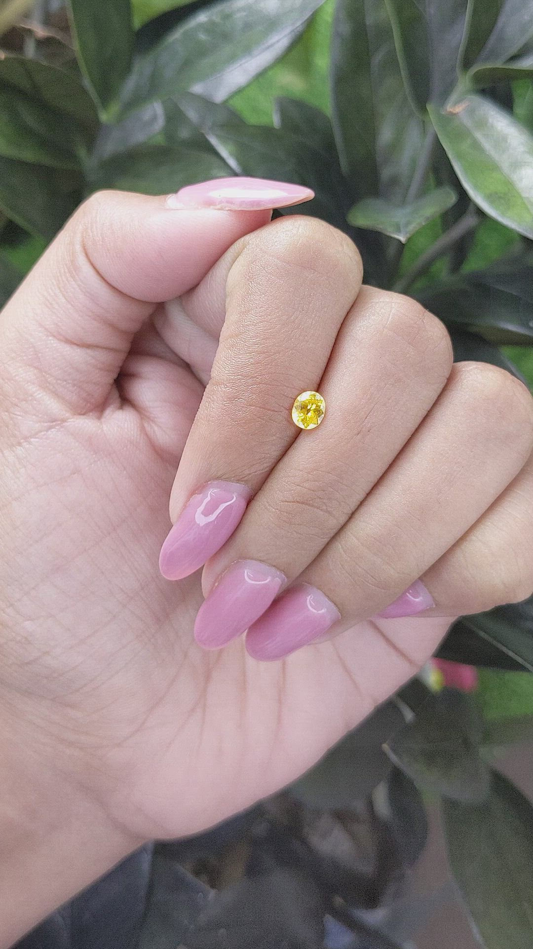 0.45 Ct. Yellow Sapphire from Ceylon (Sri Lanka) Size Video