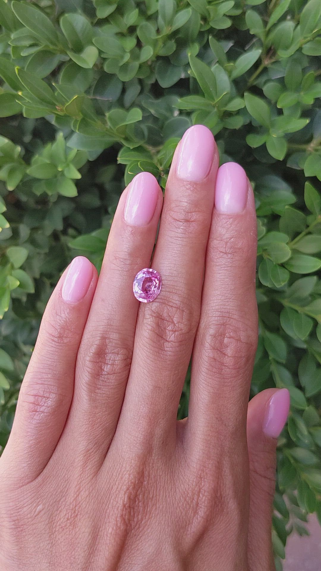 2.21 Ct. Purplish Pink Sapphire from Ceylon (Sri Lanka) Size Video