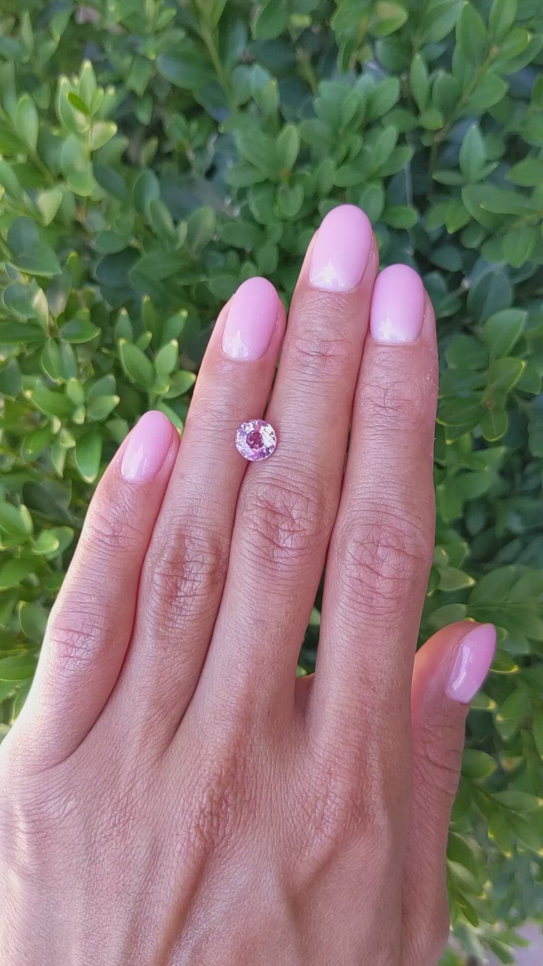1.59 Ct. Pink Sapphire from Ceylon (Sri Lanka) Size Video