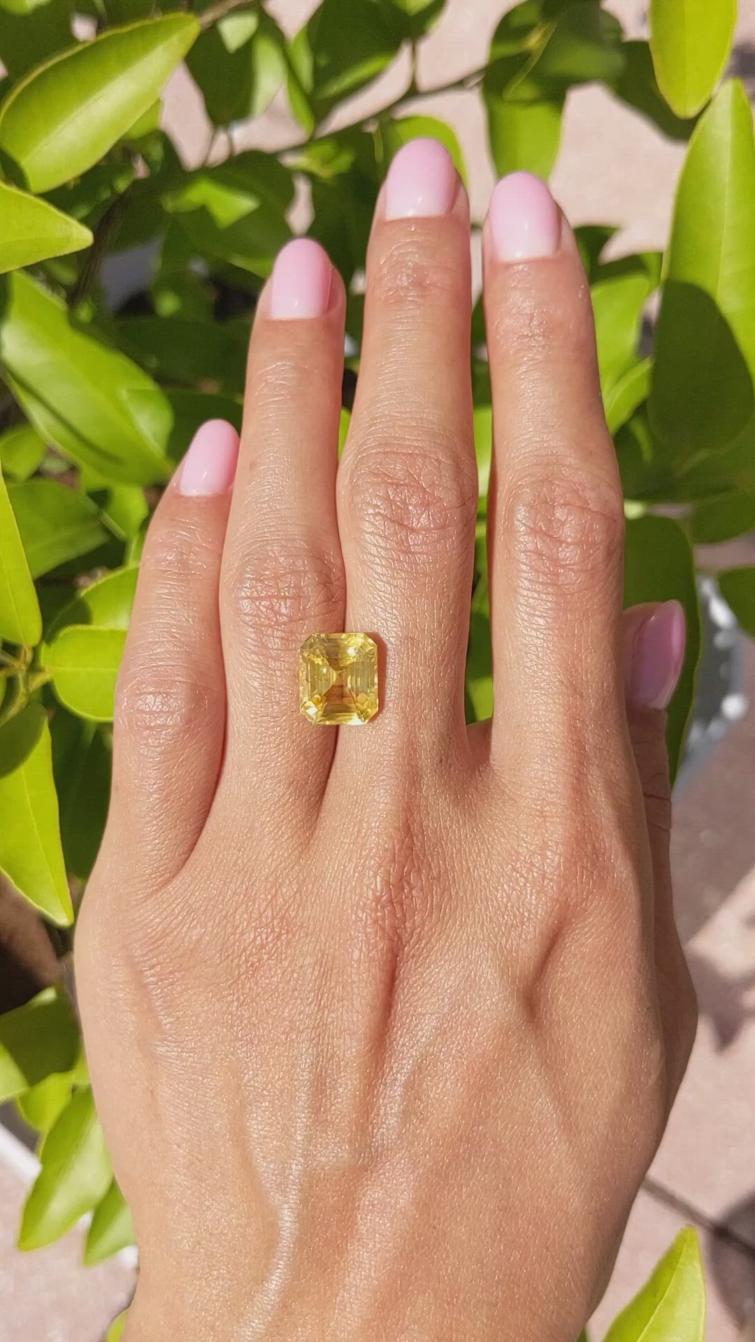 7.60 Ct. Yellow Sapphire from Ceylon (Sri Lanka) Size Video