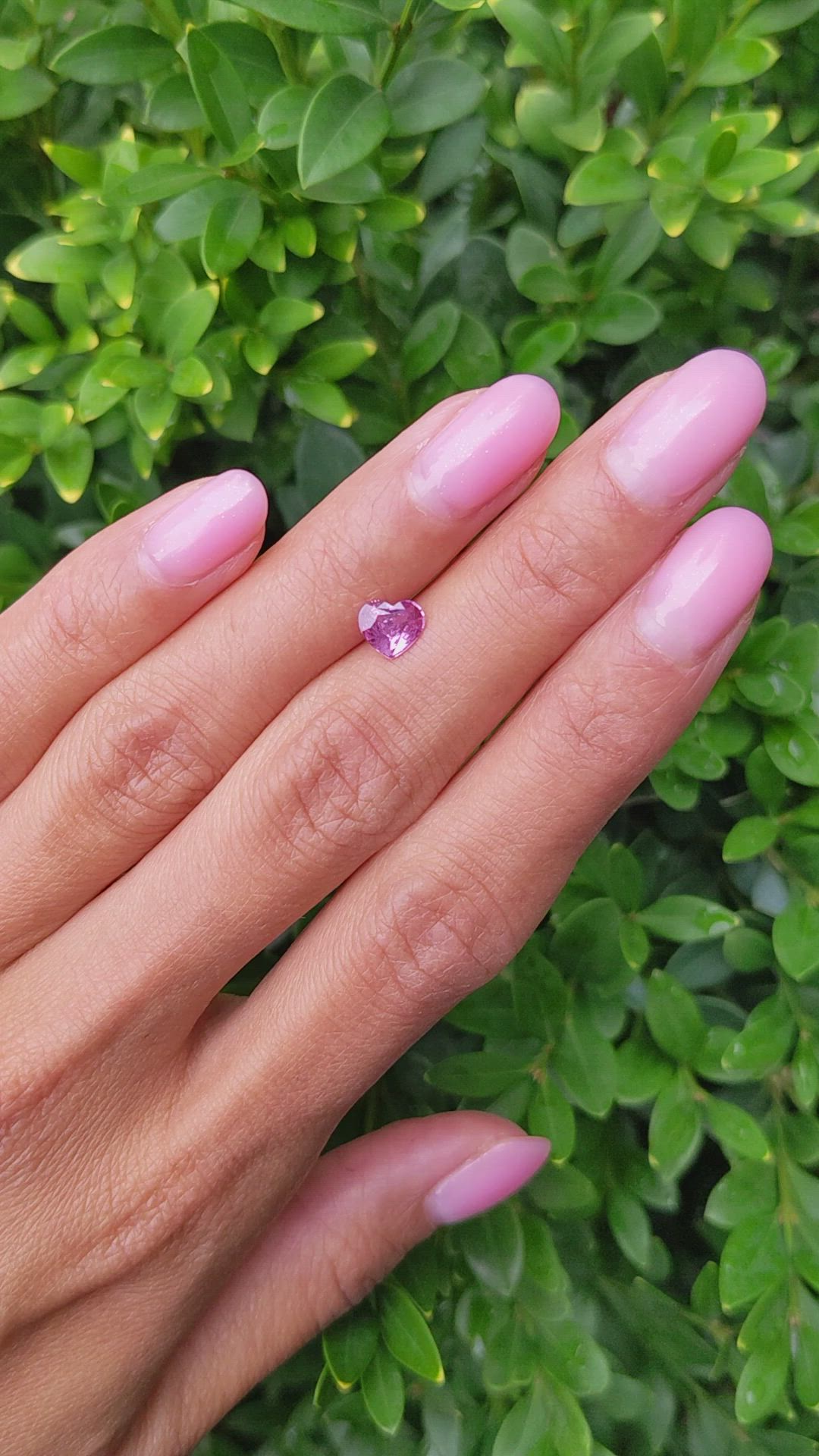 0.75 Ct. Pink Sapphire from Ceylon (Sri Lanka) Size Video