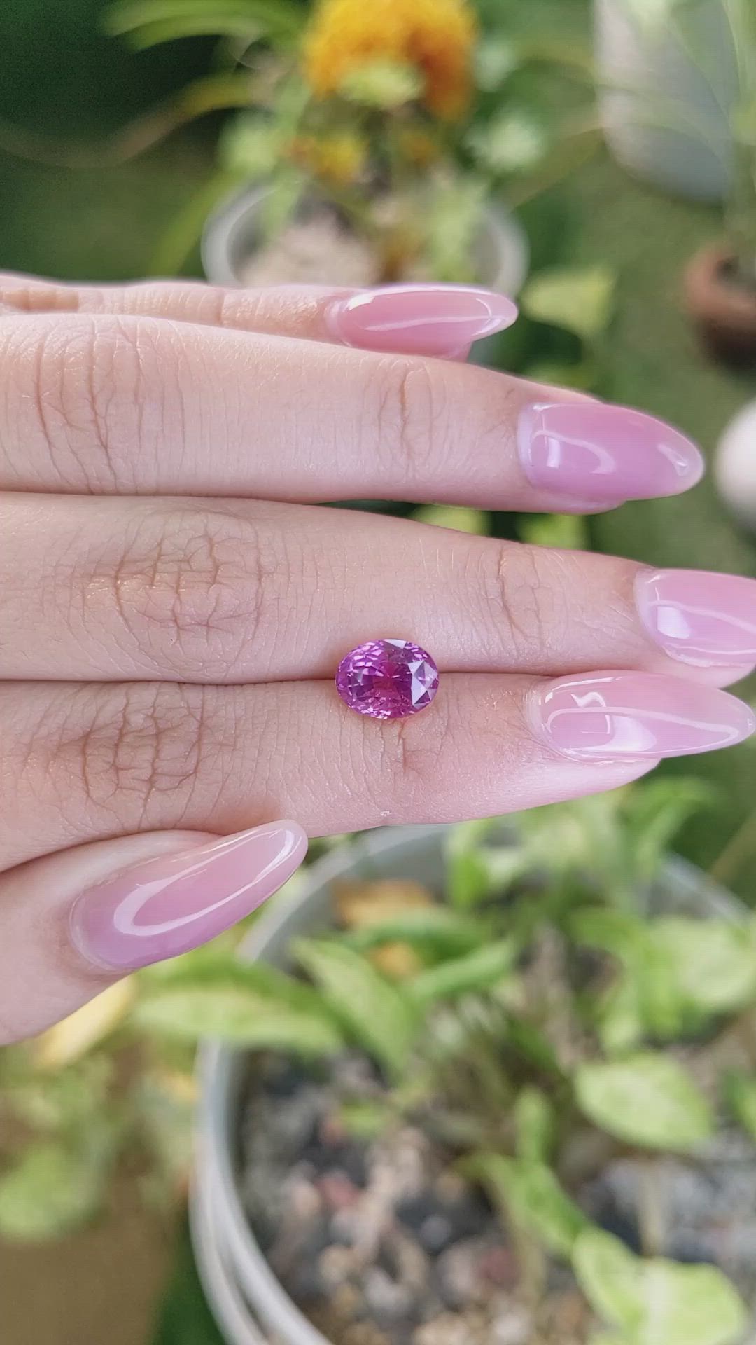 3.05 Ct. Purplish Pink Sapphire from Ceylon (Sri Lanka) Size Video