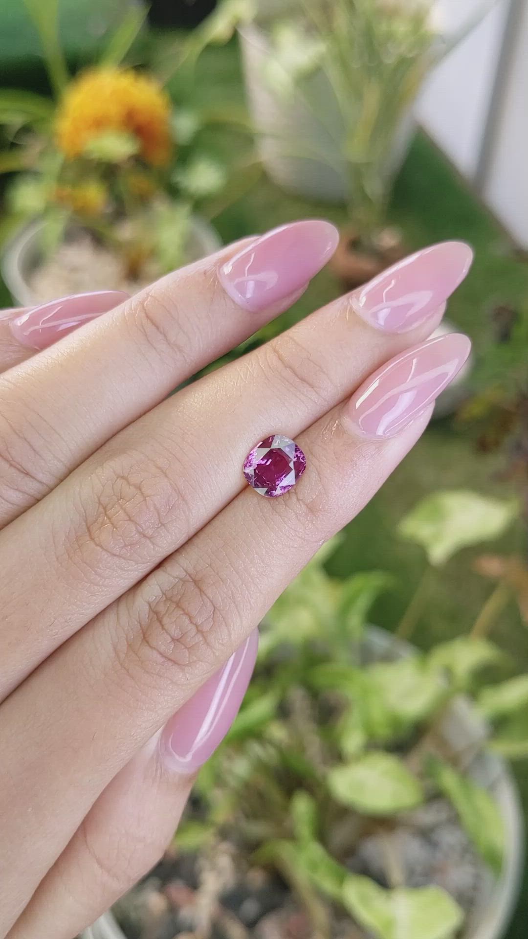 2.04 Ct. Purplish Pink Sapphire from Ceylon (Sri Lanka) Size Video