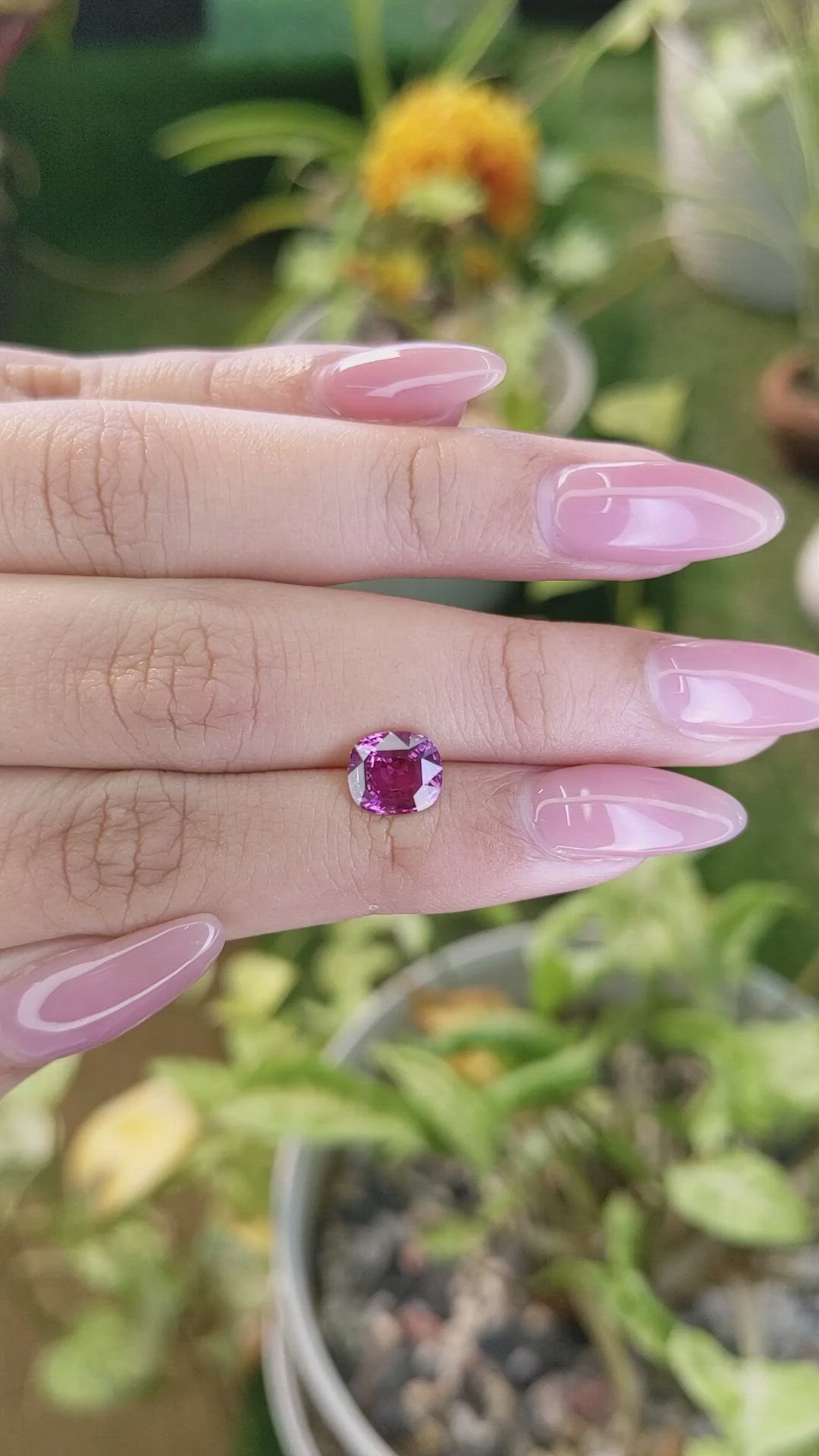 2.04 Ct. Purplish Pink Sapphire from Ceylon (Sri Lanka) Size Video