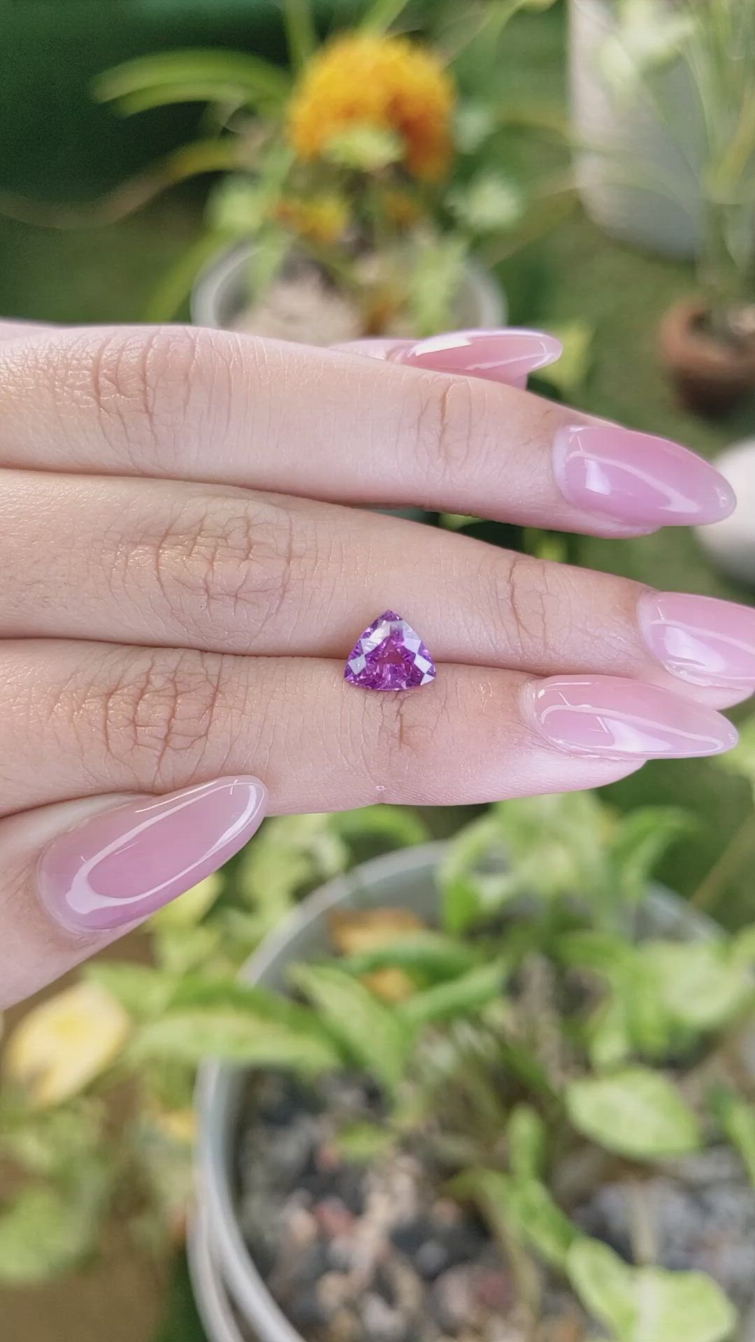 2.01 Ct. Pinkish Purple Sapphire from Ceylon (Sri Lanka) Size Video