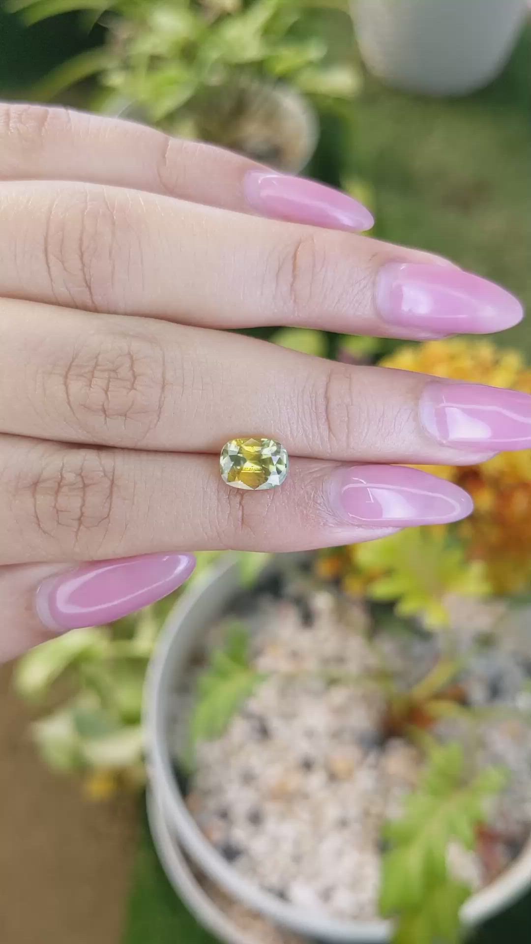 2.58 Ct. Bi Color Sapphire from Ceylon (Sri Lanka) Size Video