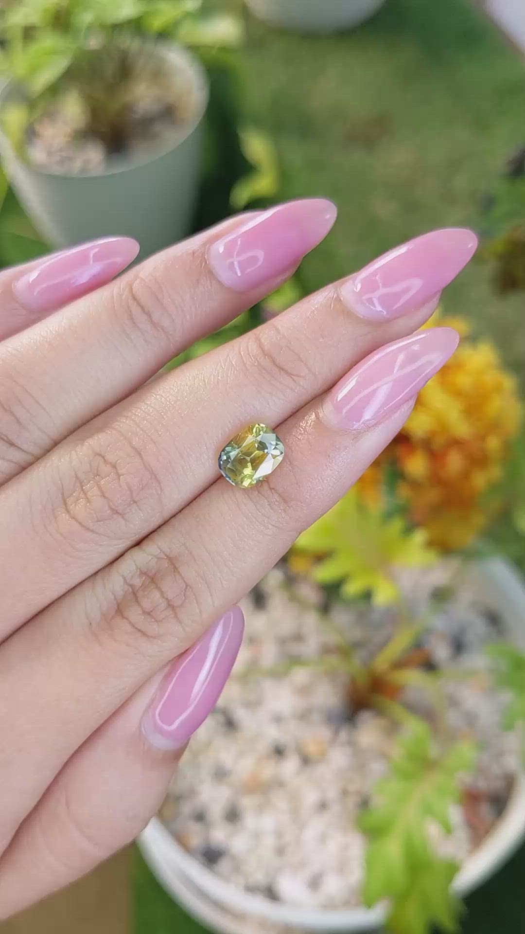 2.58 Ct. Bi Color Sapphire from Ceylon (Sri Lanka) Size Video