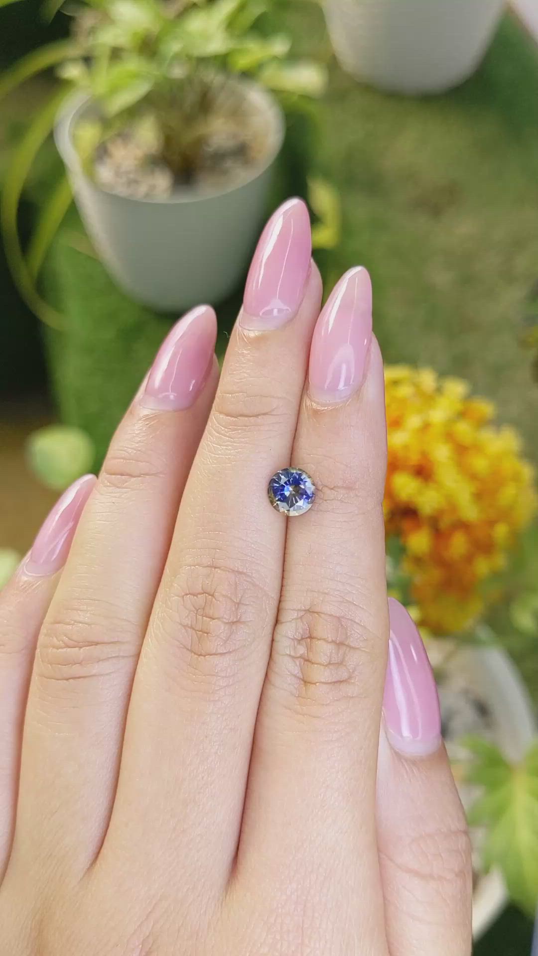 1.30 Ct. Bi Color Sapphire from Ceylon (Sri Lanka) Size Video