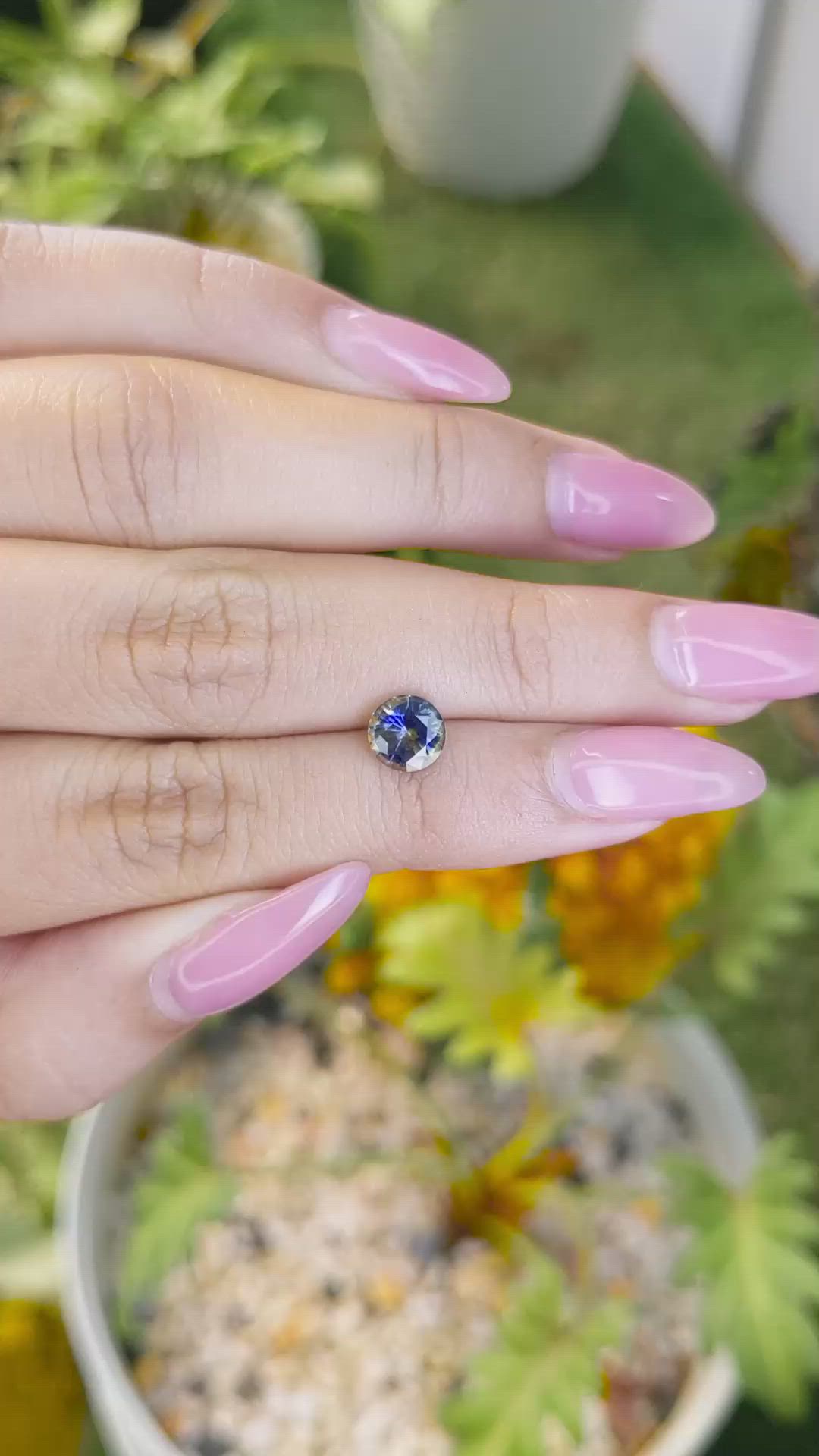 1.30 Ct. Bi Color Sapphire from Ceylon (Sri Lanka) Size Video