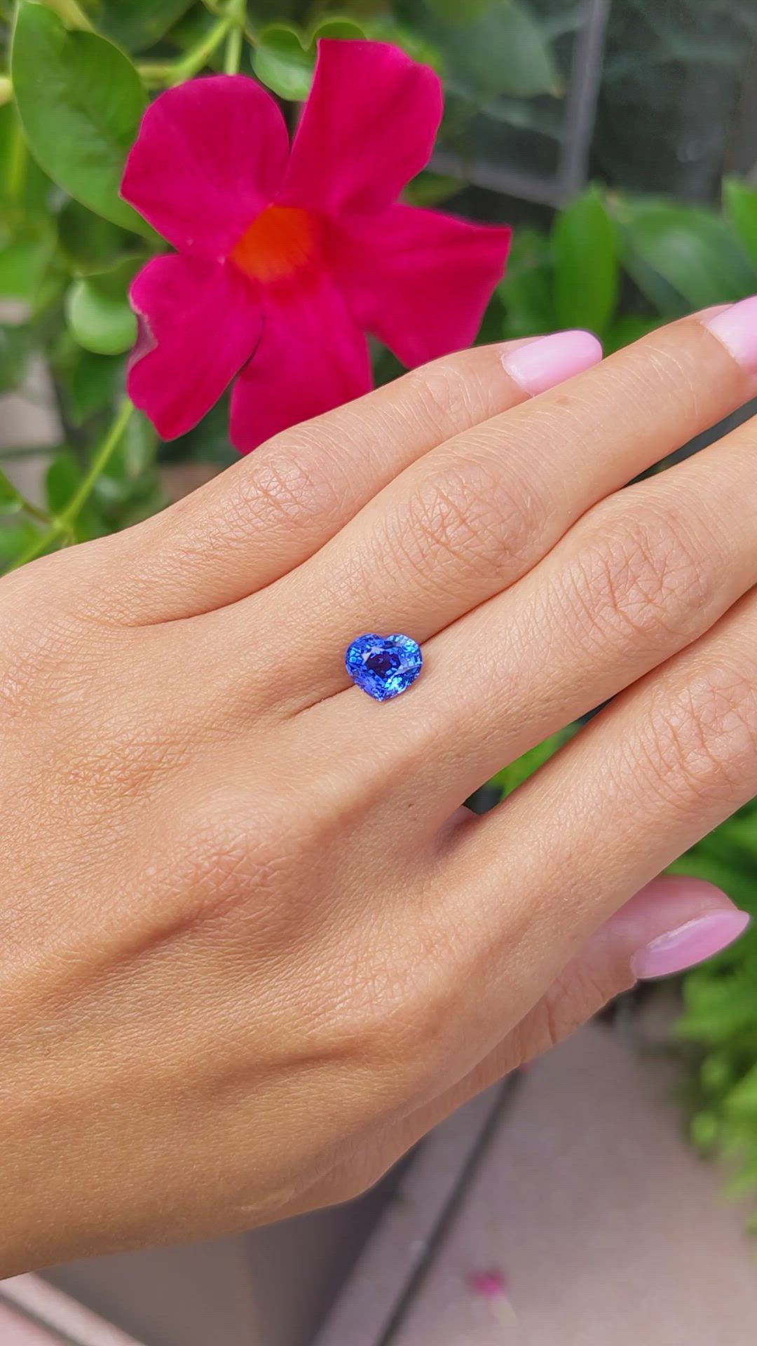 2.13 Ct. Blue Sapphire from Ceylon (Sri Lanka) Size Video